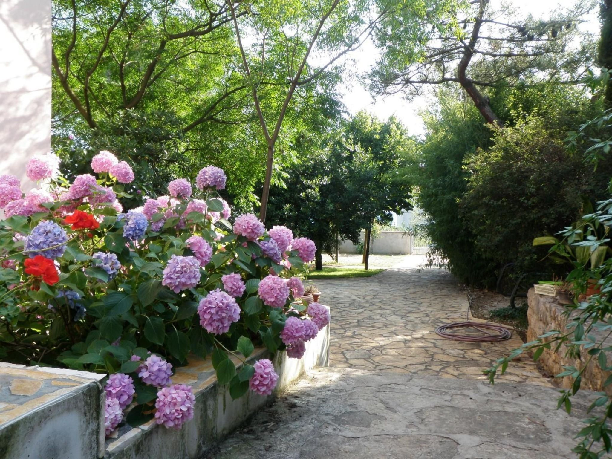 Strandnahes Haus Lolinka mit schattiger Terrasse-Image-tags.info