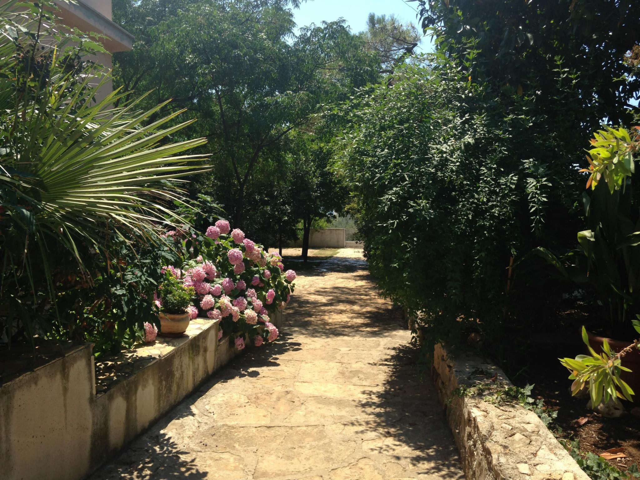 Strandnahes Haus Lolinka mit schattiger Terrasse-Image-tags.info