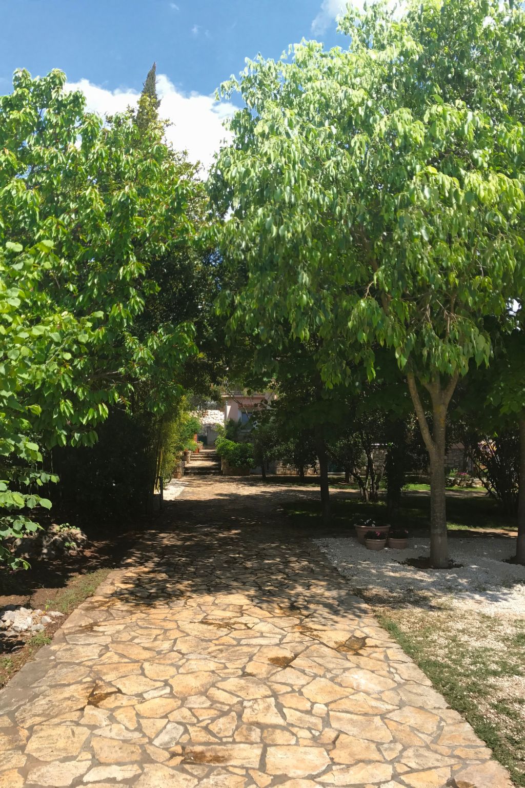 Großzügige Ferienwohnung Lolinka Bibinje-Image-tags.info