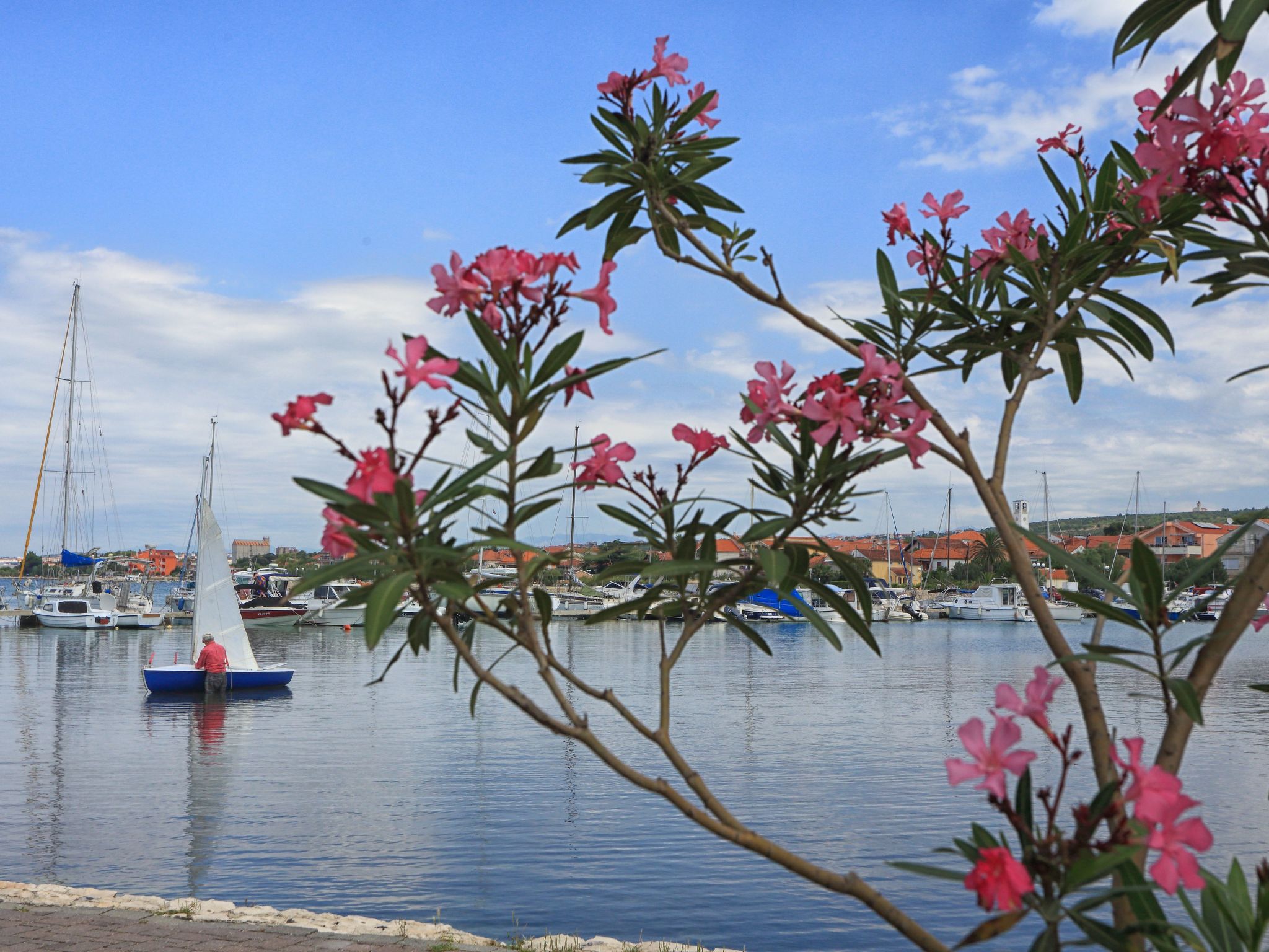 Sonnige Wohnung "Bepo" mit Blick auf das Wasser-Image-tags.info