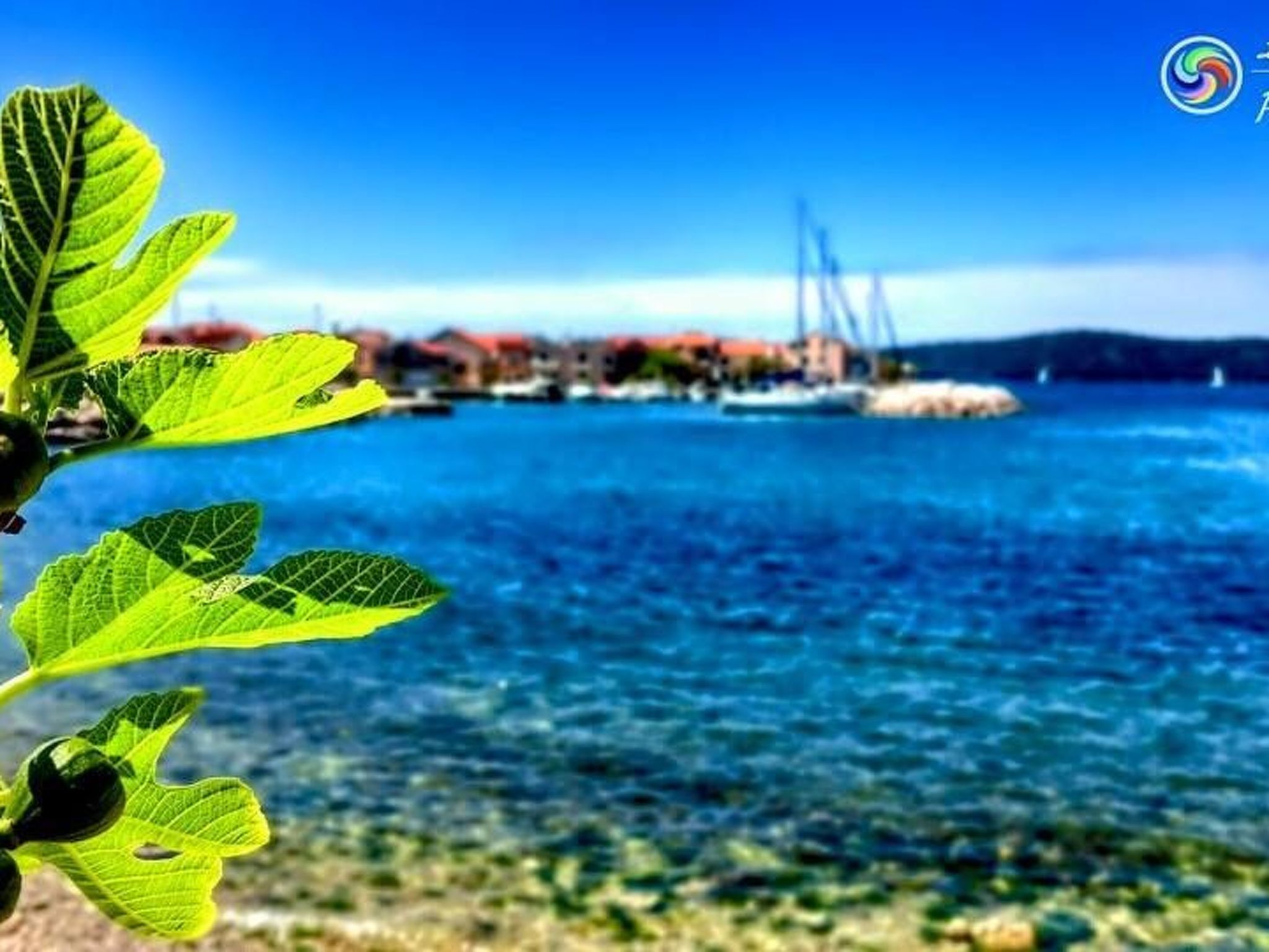 Sonnige Wohnung "Bepo" mit Blick auf das Wasser-Outside
