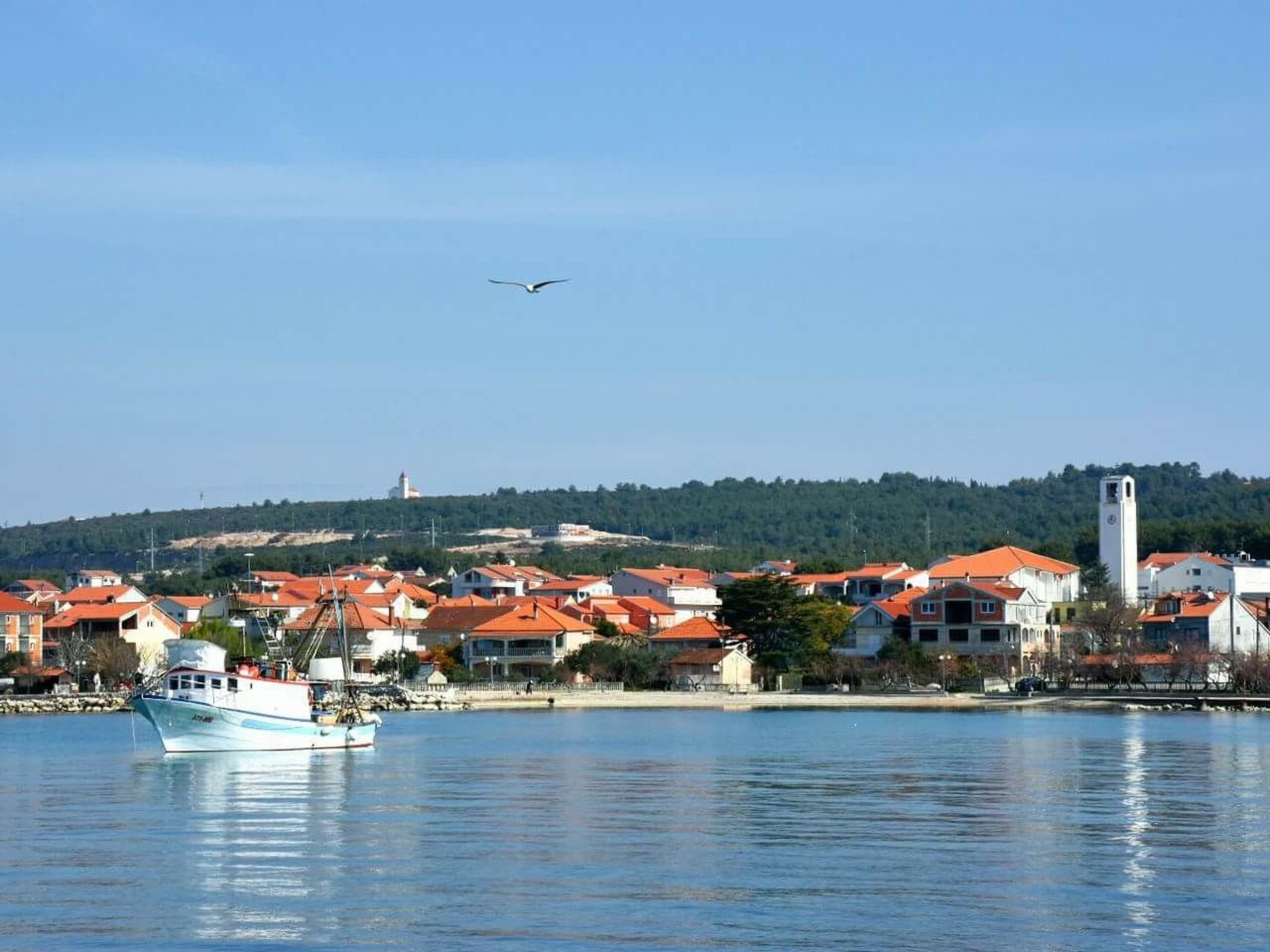 "Nani" mit Blick auf das Wasser-Draußen