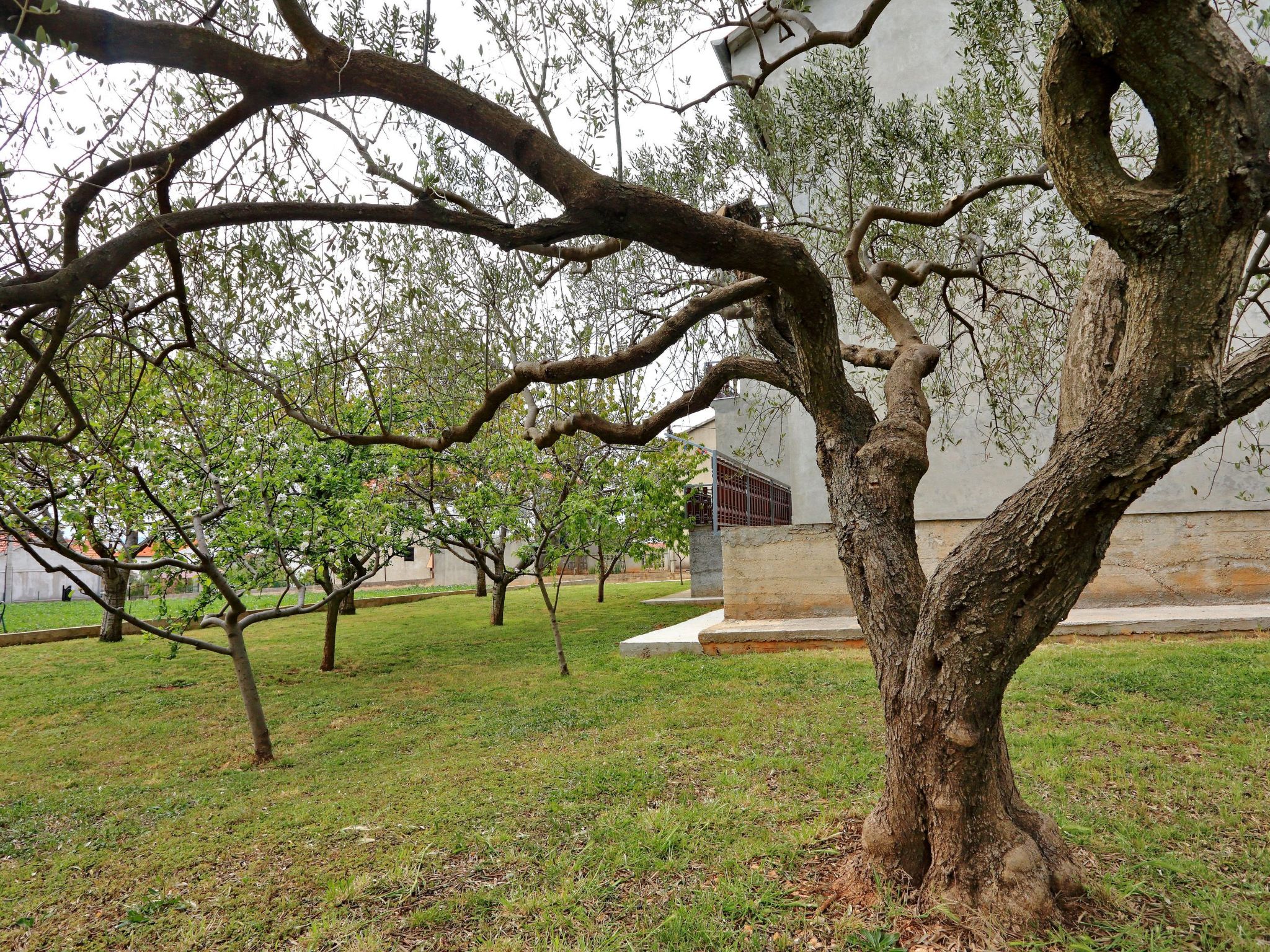 Photo of Moderne Ferienwohnung mit Meerblick