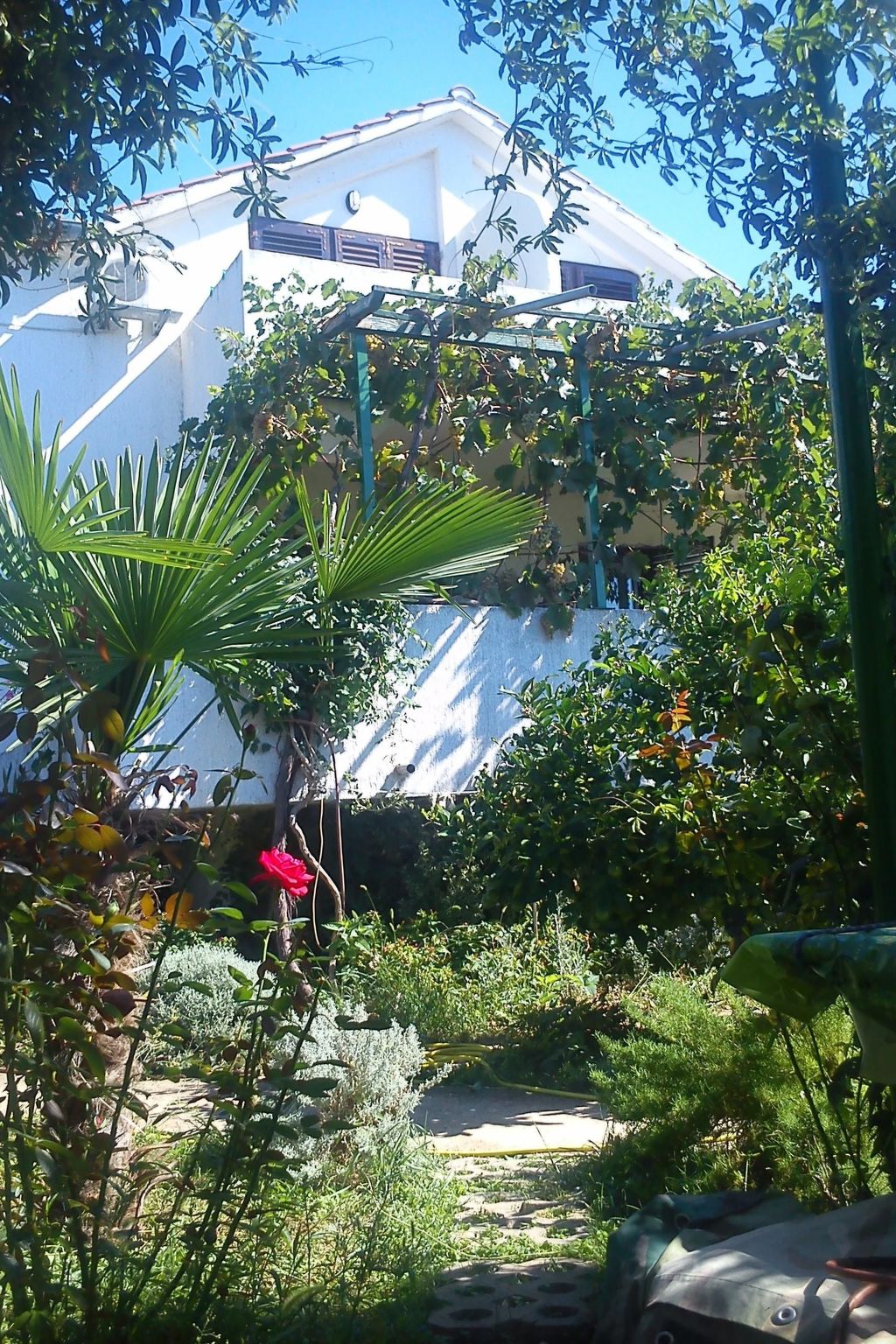 Studio-Apartment mit Balkon und Meerblick-Image-tags.info