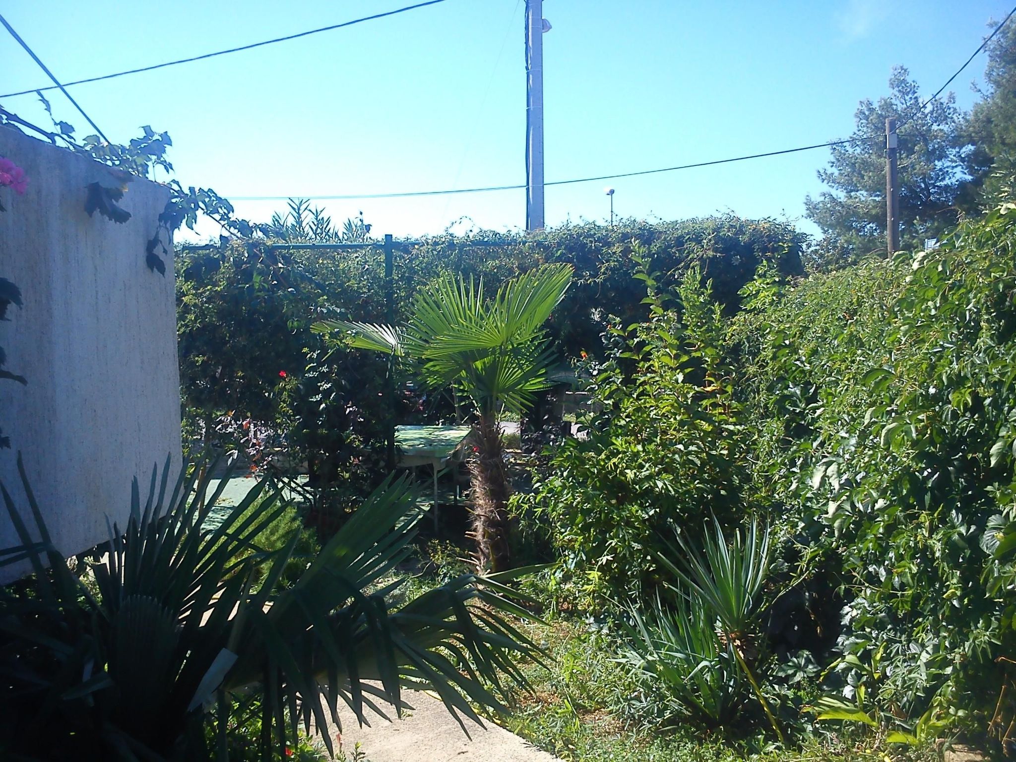 Studio-Apartment mit Balkon und Meerblick-Image-tags.info