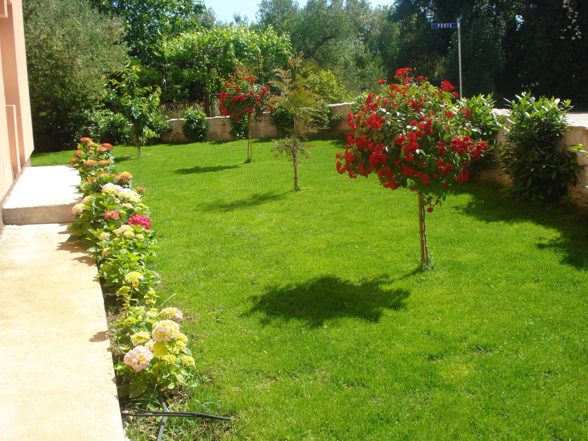 Mit Wasserblick-Image-tags.info