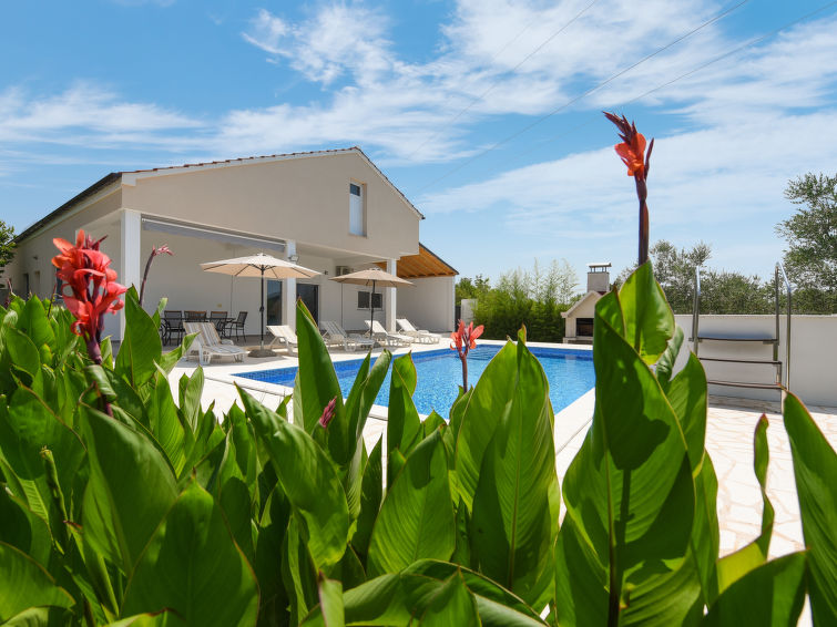 Search and Stay destination Galovac, Zadar County - Croatia from AU$ 318. Anima