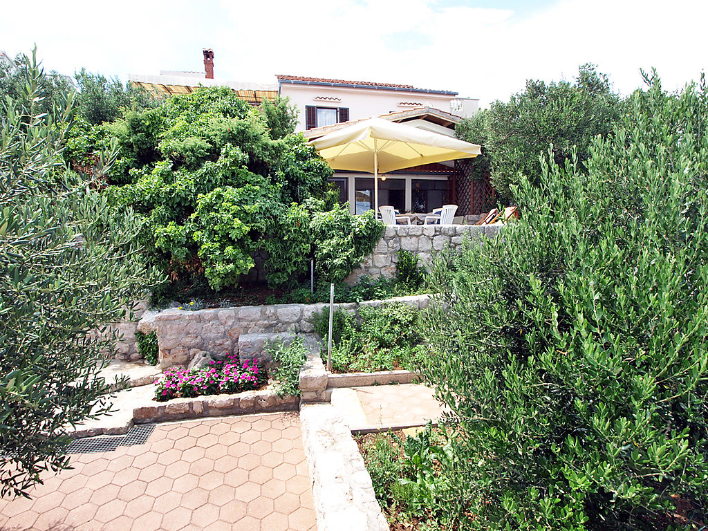 Bild 24