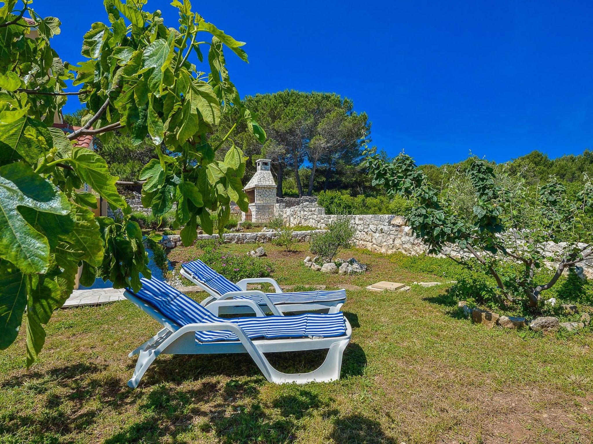 "Sakarun" mit Blick auf das Wasser-Image-tags.info