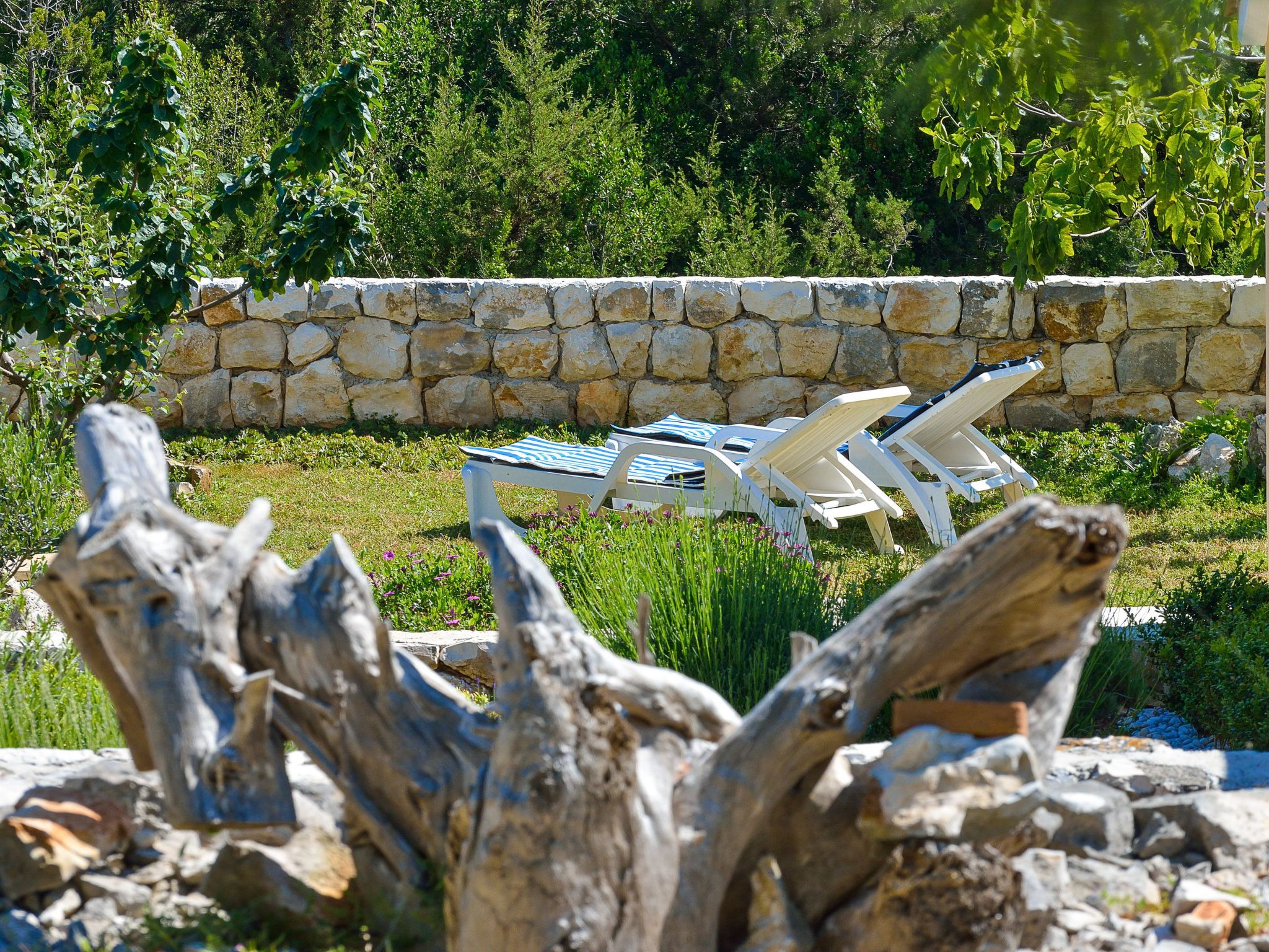 "Sakarun" mit Blick auf das Wasser-Draußen