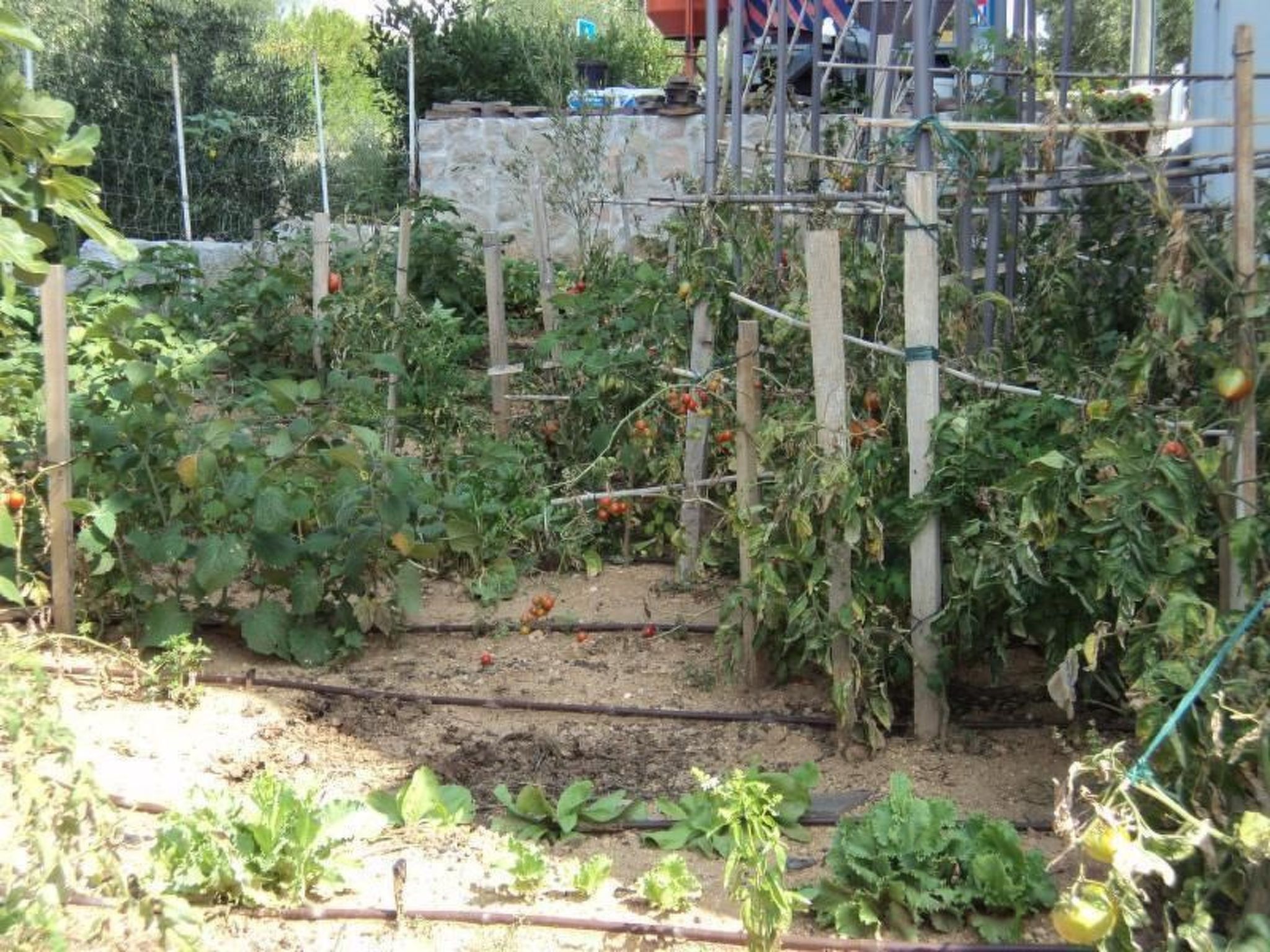 Apartments Delfini mit Panoramablick auf das Meer-Image-tags.info