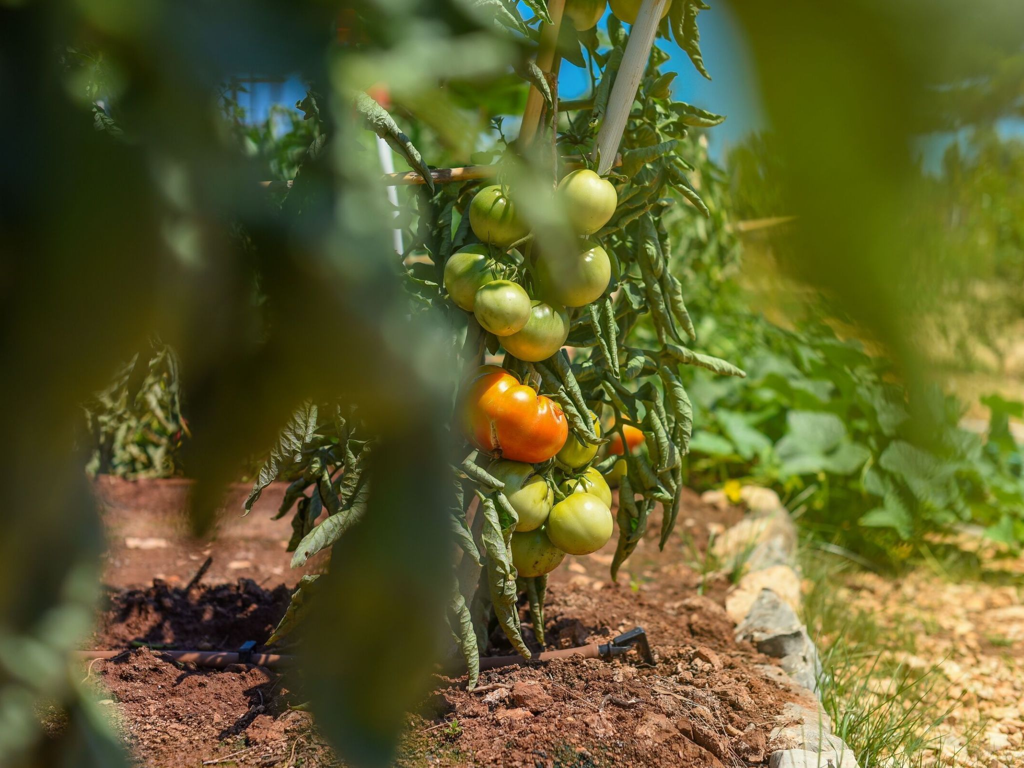 Mobilheim direkt am Strand-Drinnen