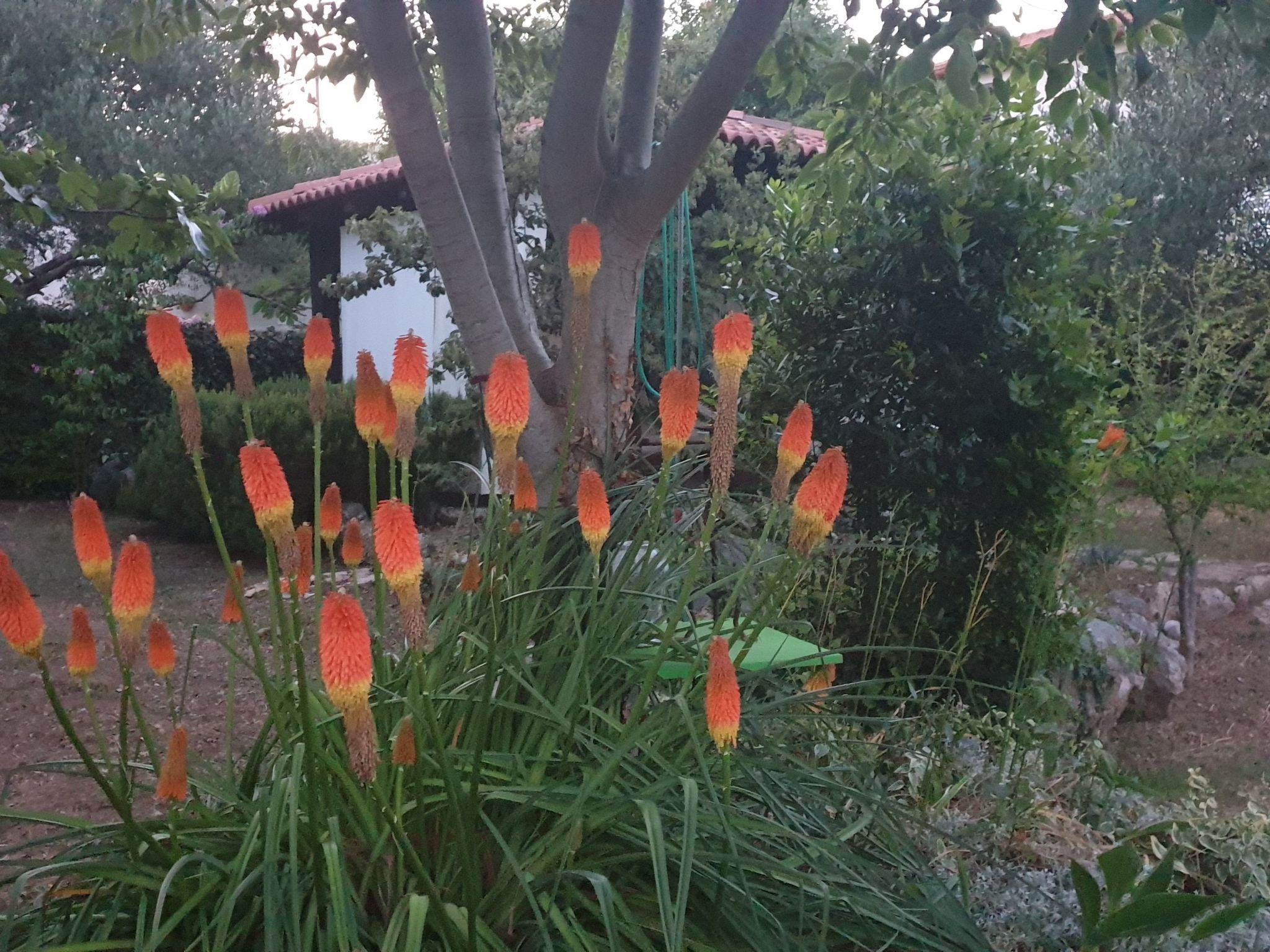 Steinhaus in Strandnähe mit Whirlpool-Binnen