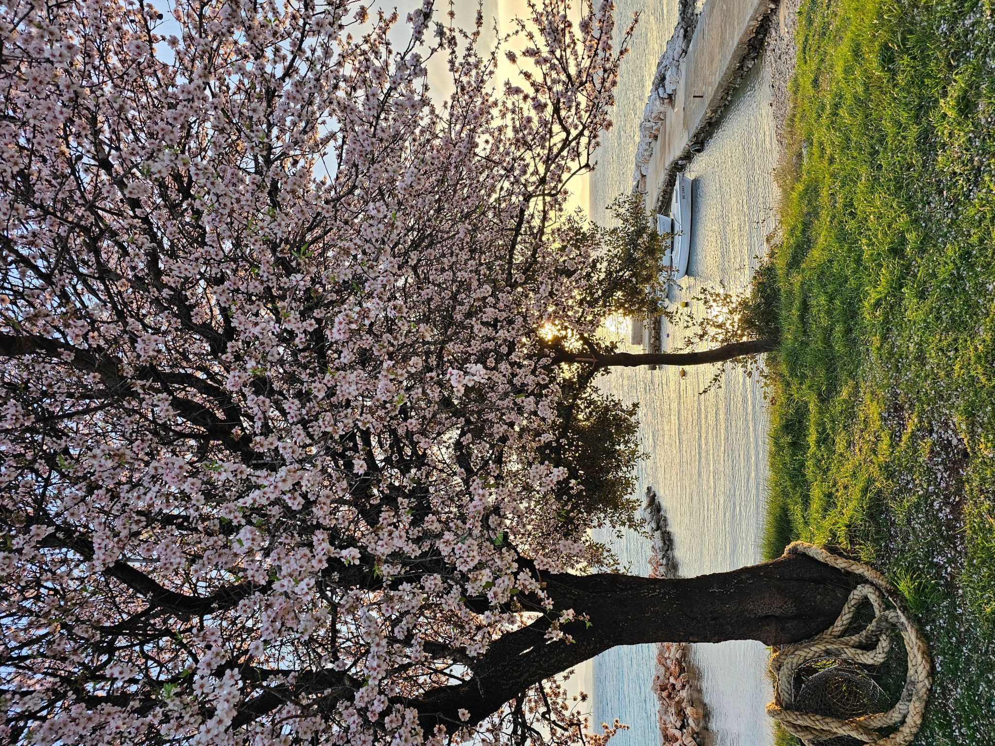 Mimos Robinsonhaus-Binnen