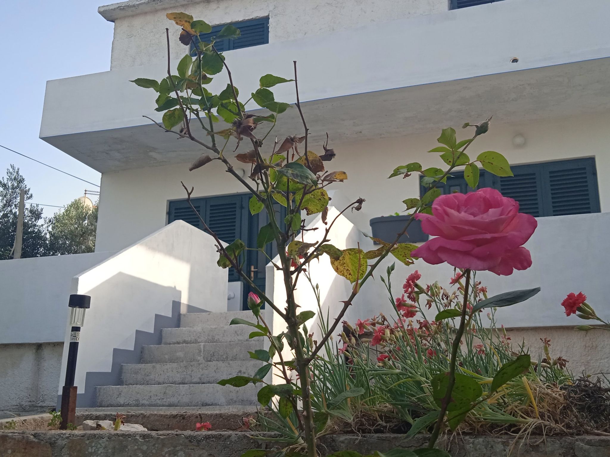 Rotes Meer Apartment - Image-tags.info