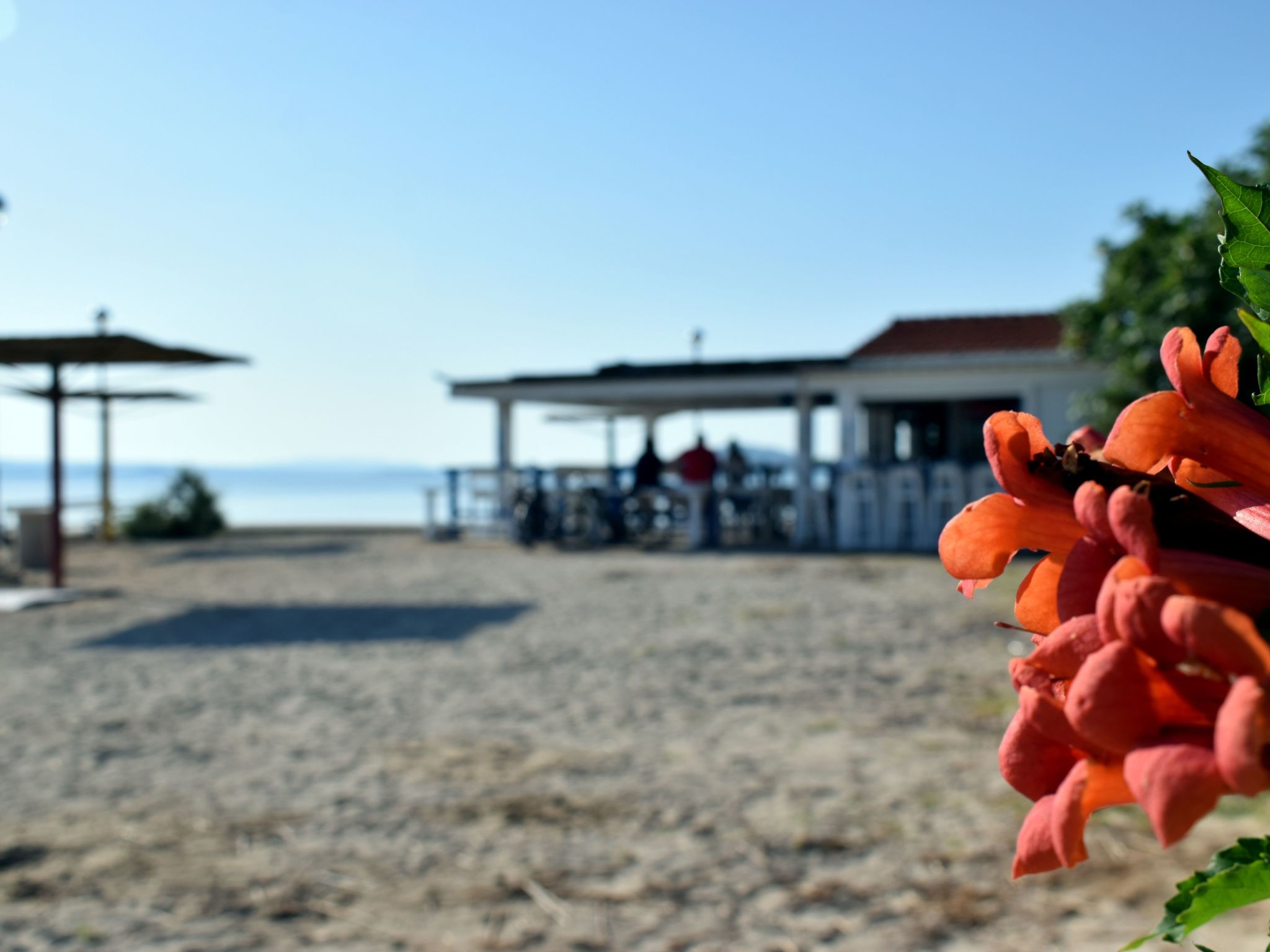 In Dobropoljana mit Privatem Pool-Binnen