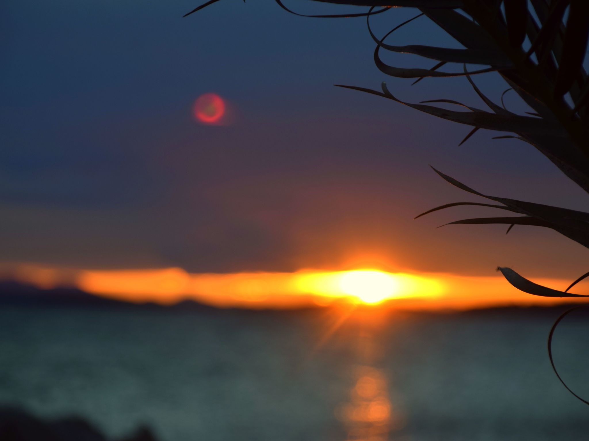 In Dobropoljana mit Privatem Pool-Binnen