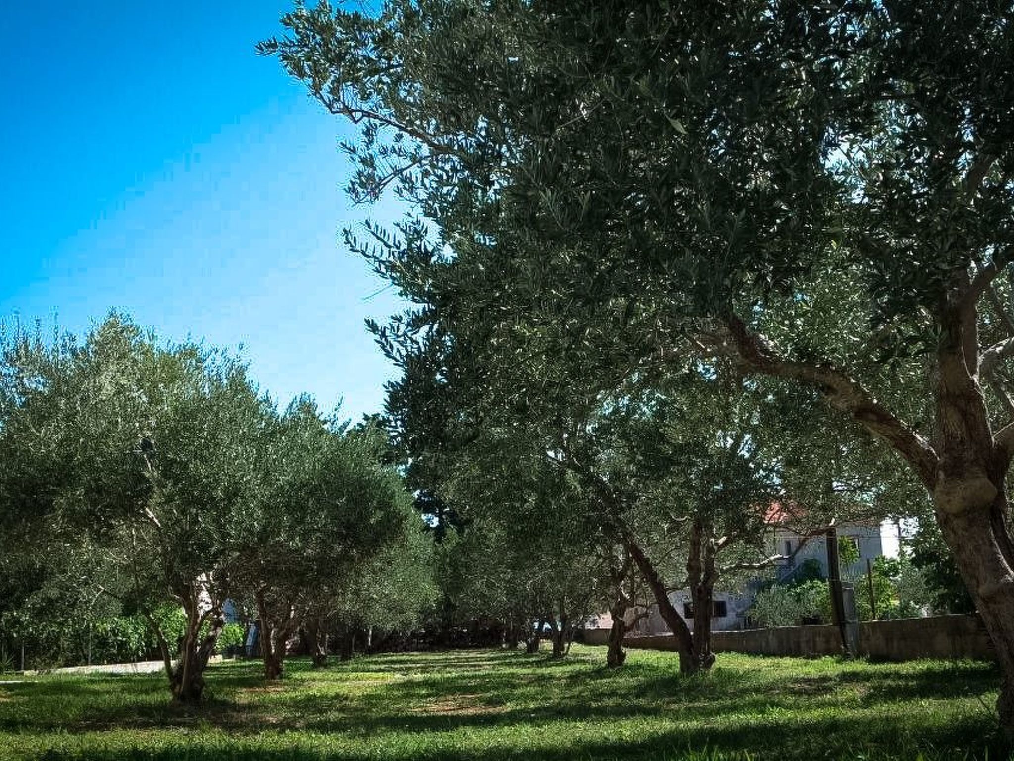 Modernes Ferienhaus in Dobropoljana mit Terrasse, Garten und Grill-Image-tags.info