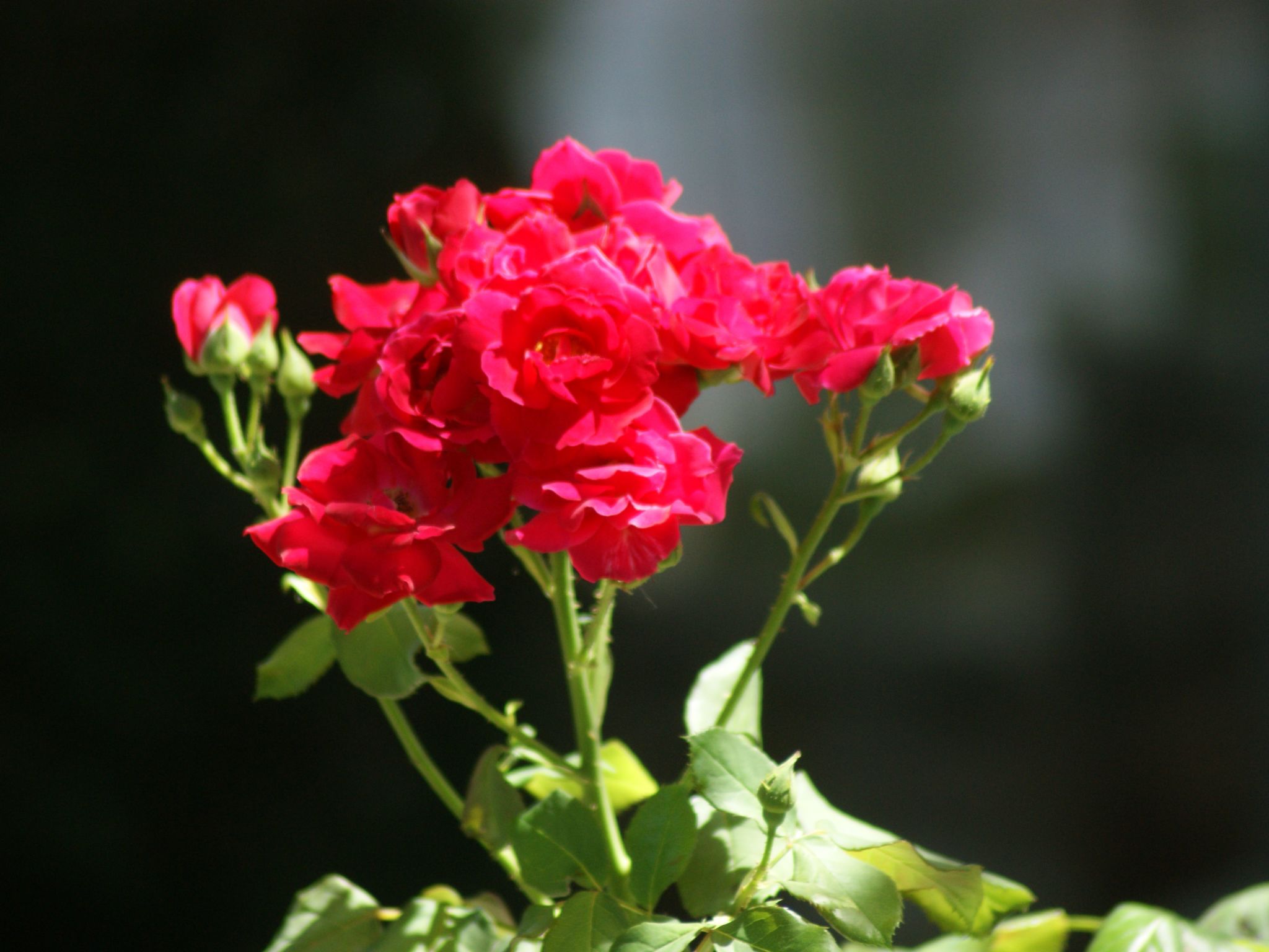 Für vier Personen mit Balkon im ersten Obergeschoss gelegen-Outside