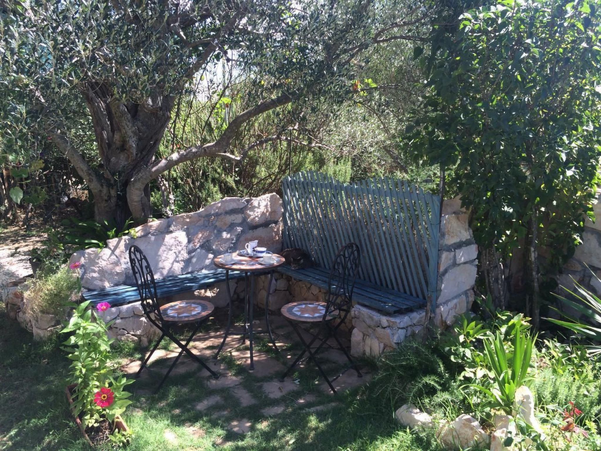 Apartment Rosa-Binnen