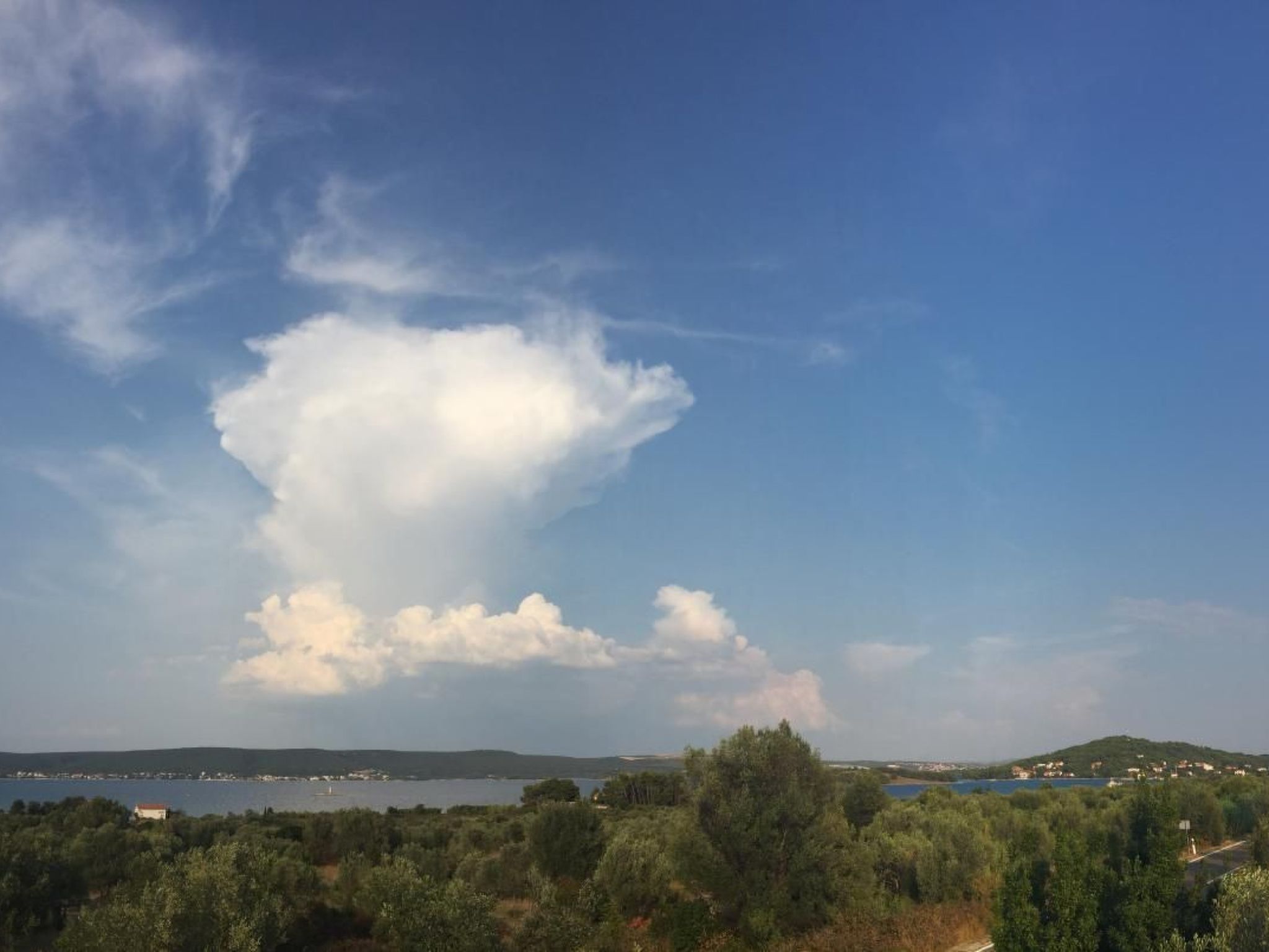 Apartment Rosa-Binnen