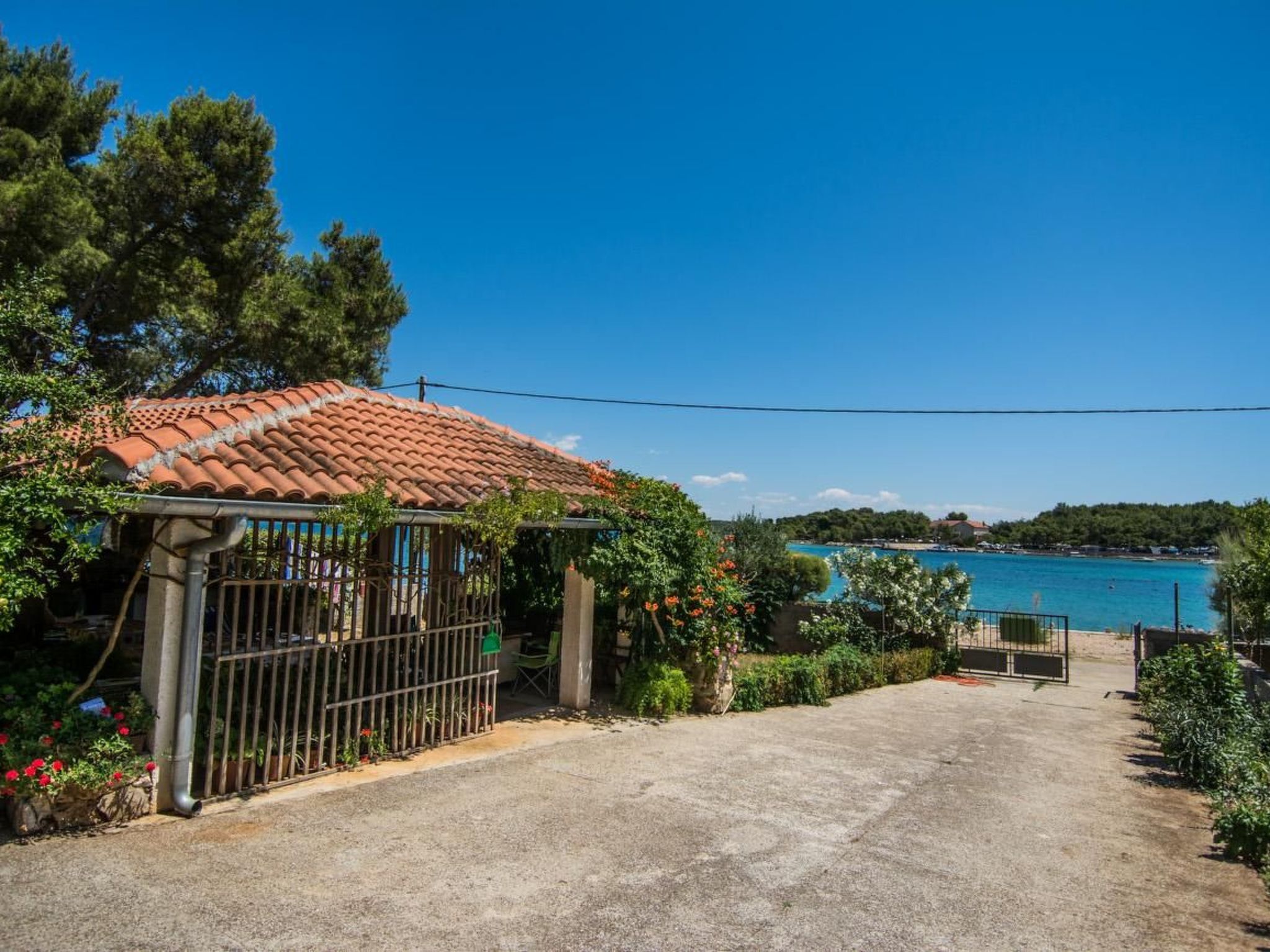 Klimatisiertes Gästezimmer mit Blick auf den Pinienwald-Image-tags.info