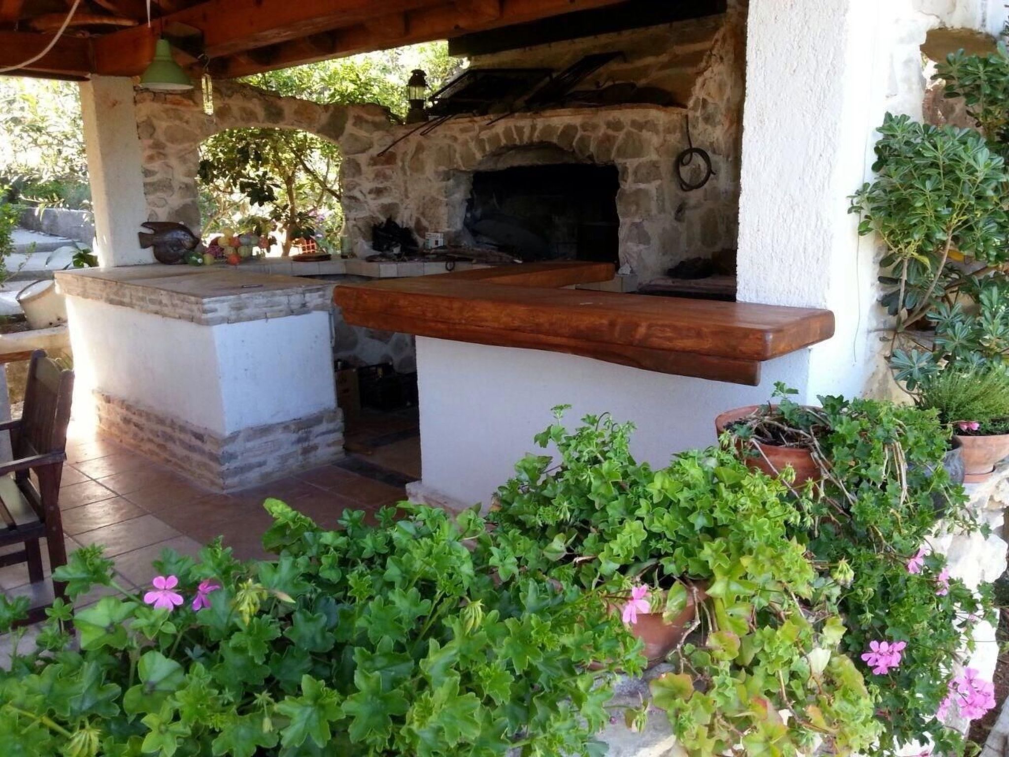 Klimatisiertes Gästezimmer mit Blick auf den Pinienwald-Image-tags.info