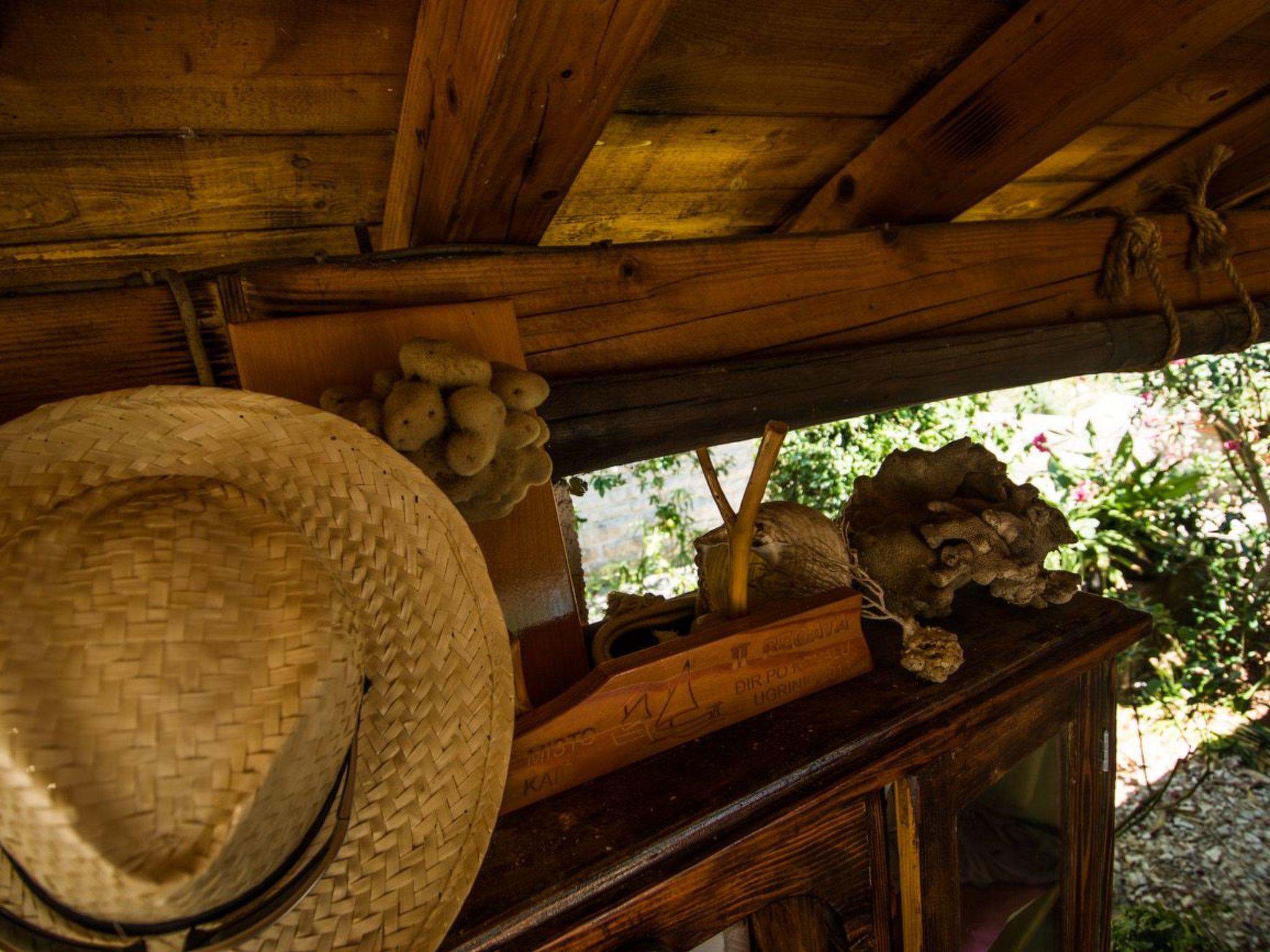 Wohnung "Mama Roza" mit Blick auf das Wasser-Image-tags.info