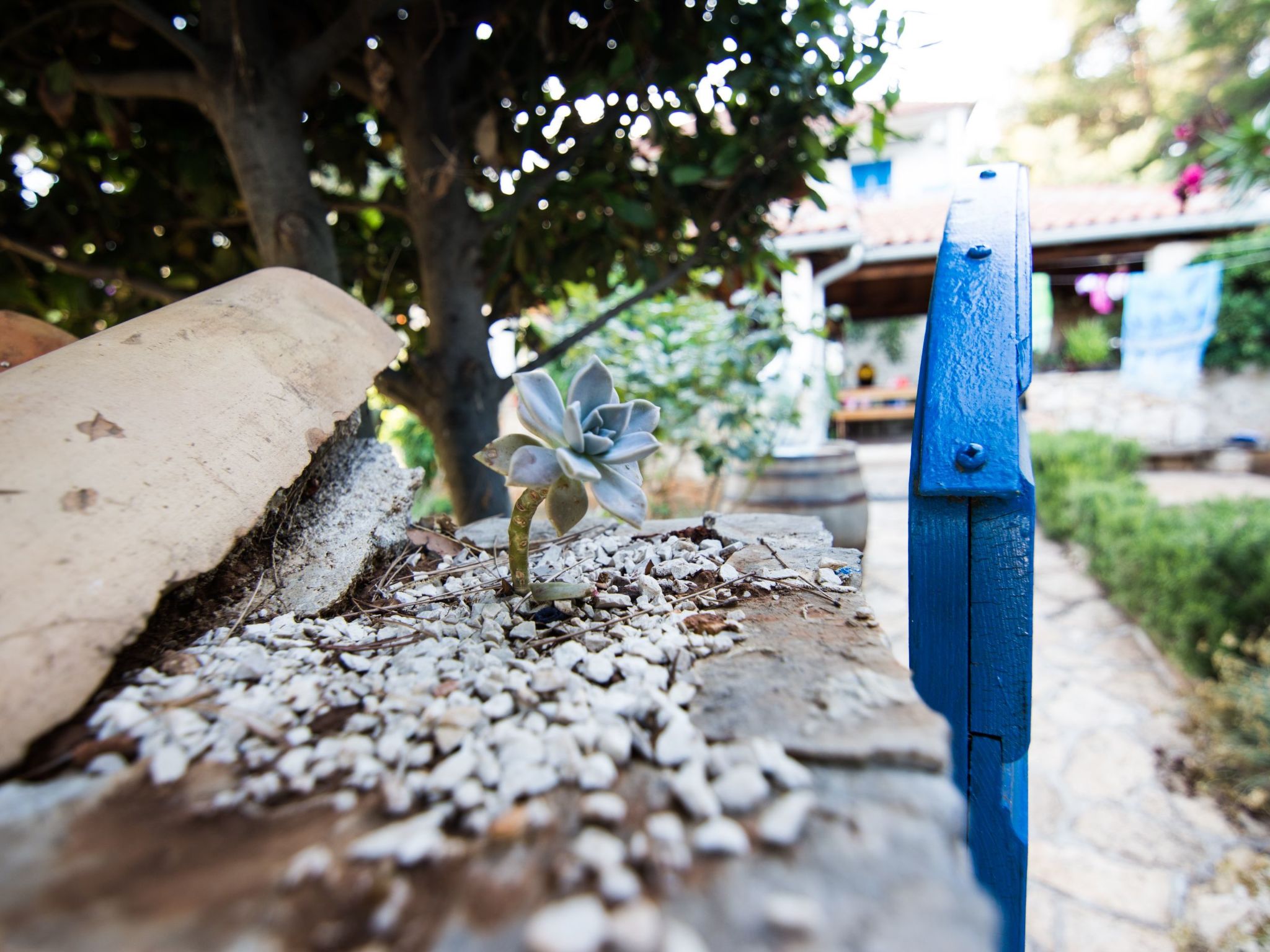 Studio mit schönem Blick auf das Meer-Image-tags.info