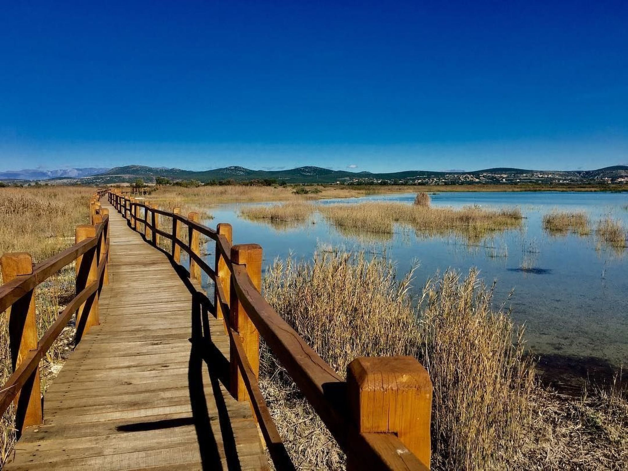Moderne Strandwohnung in zentraler Lage-Image-tags.info