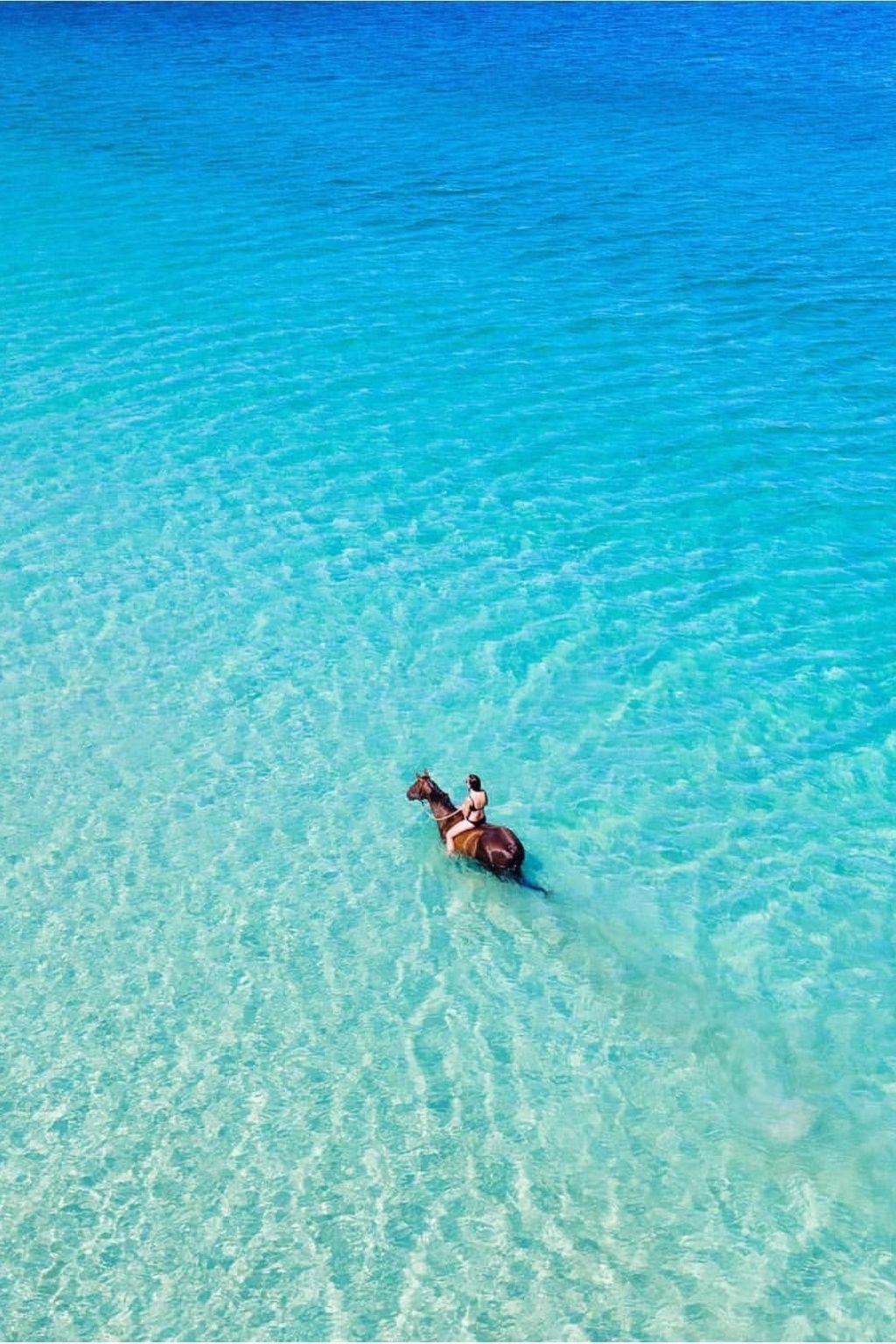 Moderne Strandwohnung in zentraler Lage-Image-tags.info