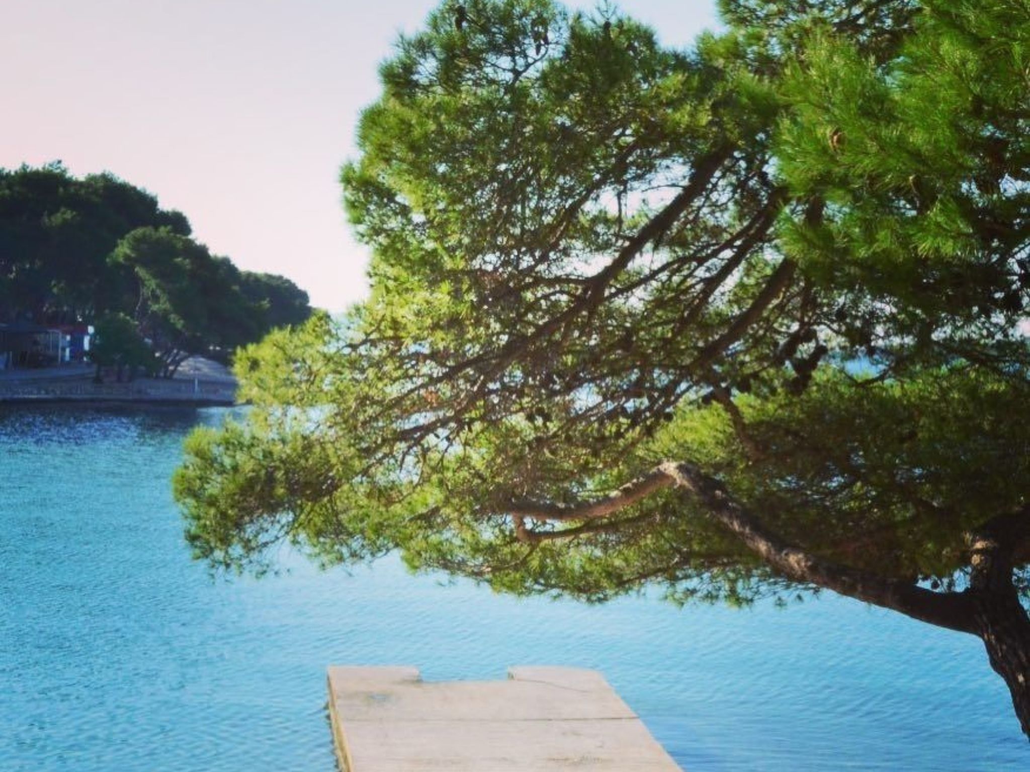 Moderne Strandwohnung in zentraler Lage-Image-tags.info