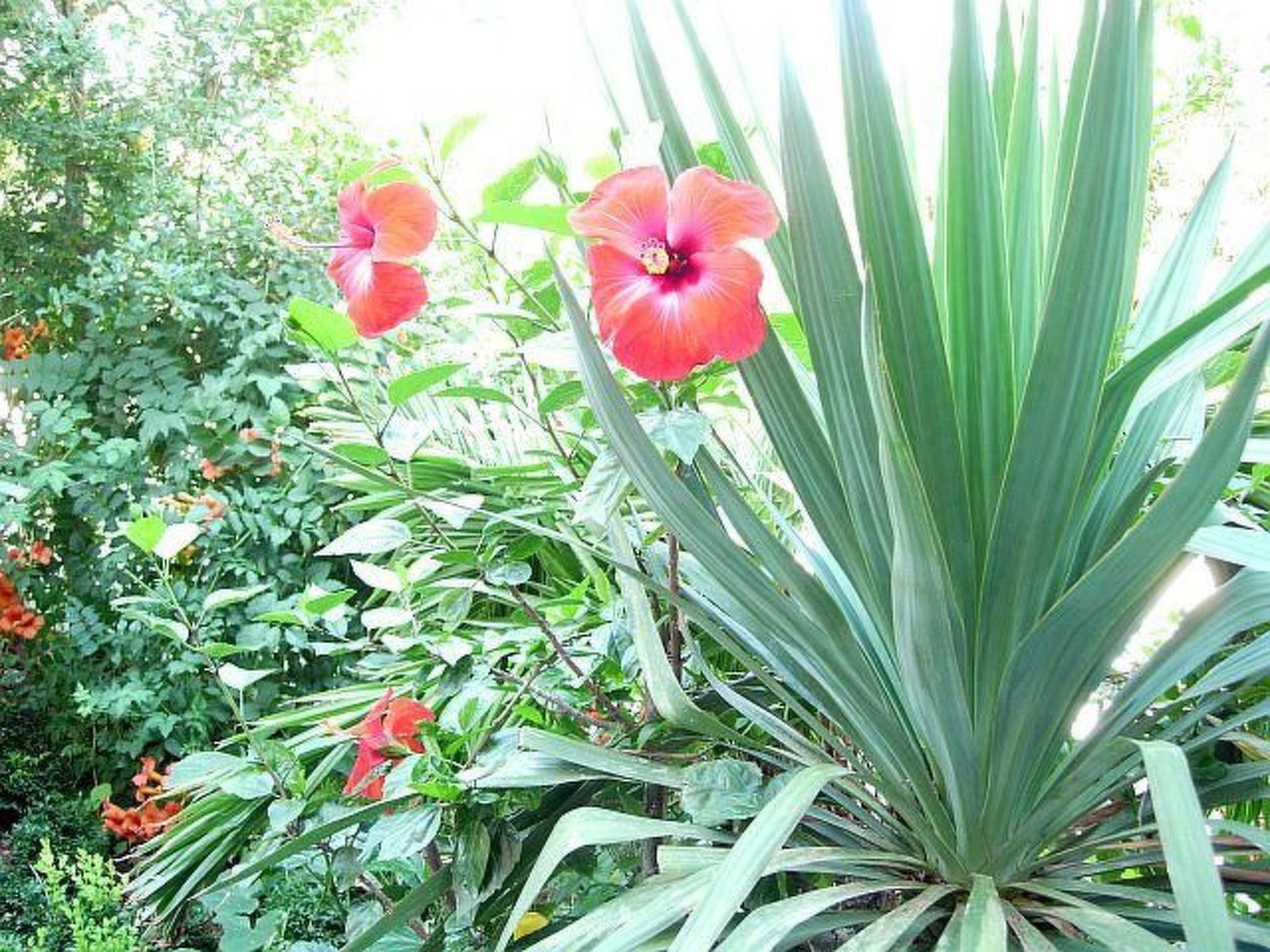 Standardstudio für kleine Familien-Binnen