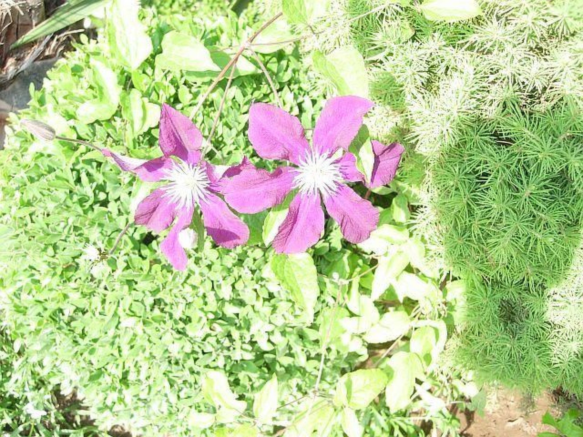 Hübsche Wohnung für zwei-Binnen