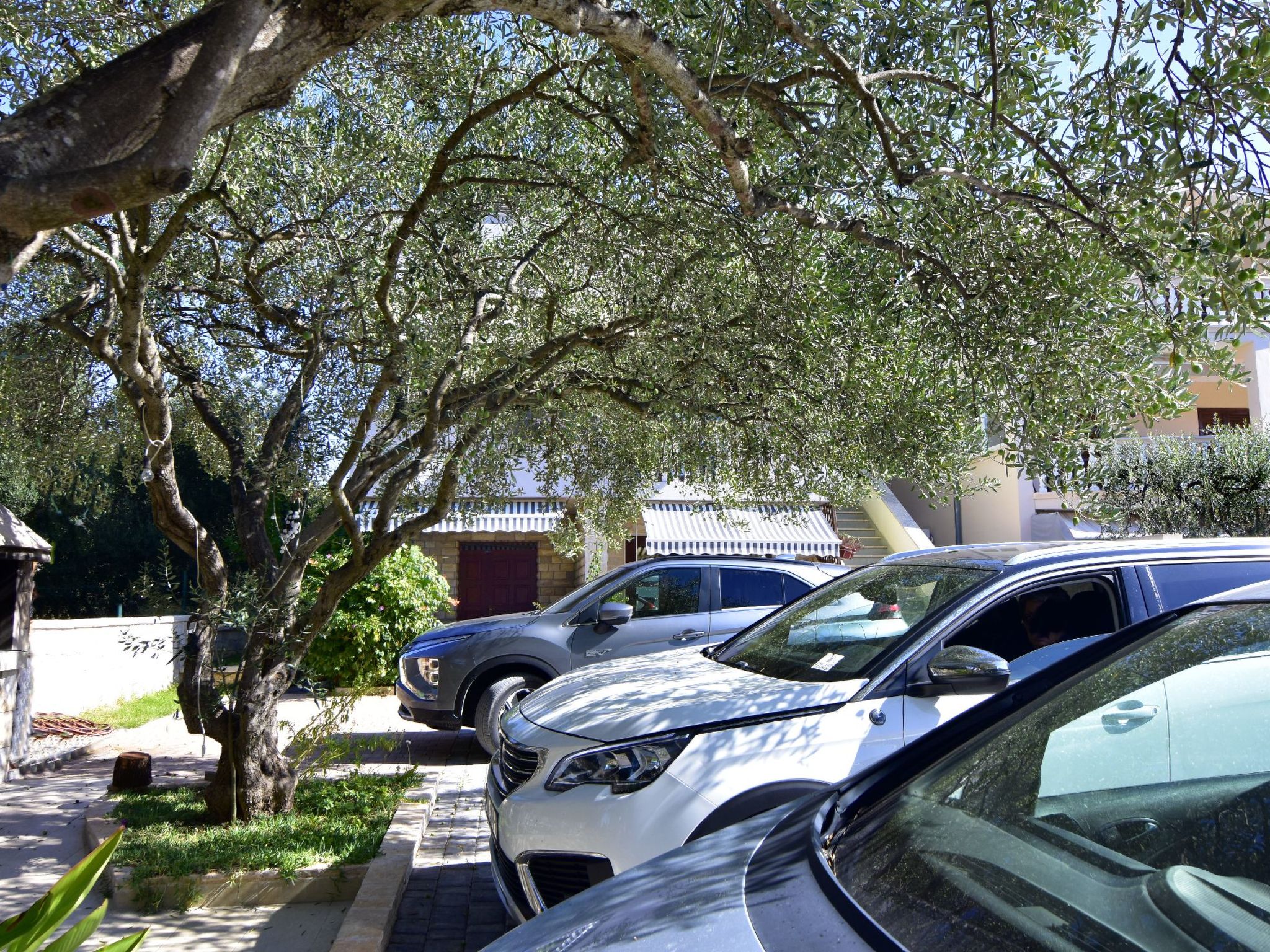 Photo of Komfortable Wohnung "Mladen" in Strandnähe