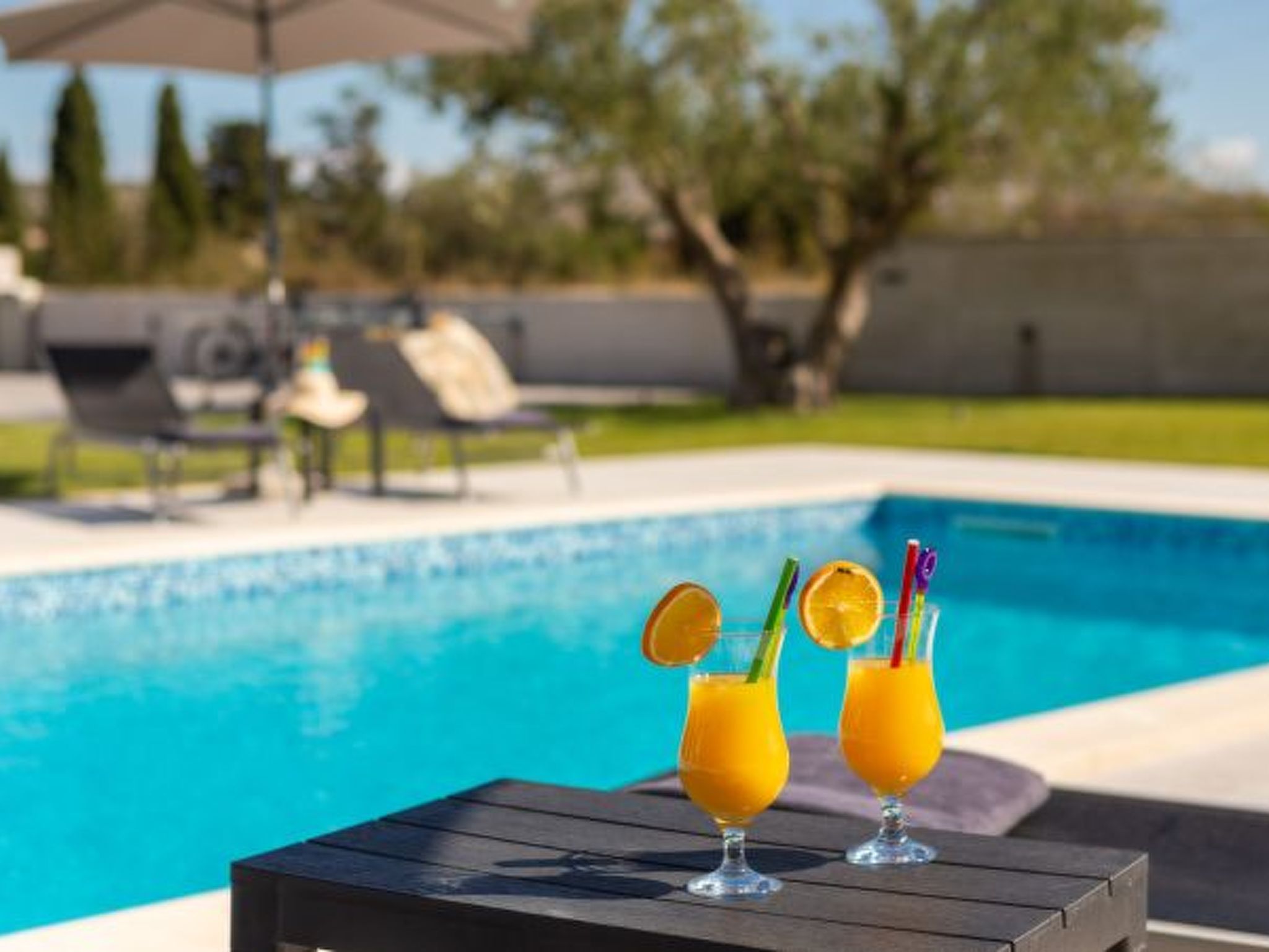 Villa Lacus in Vrana with pool