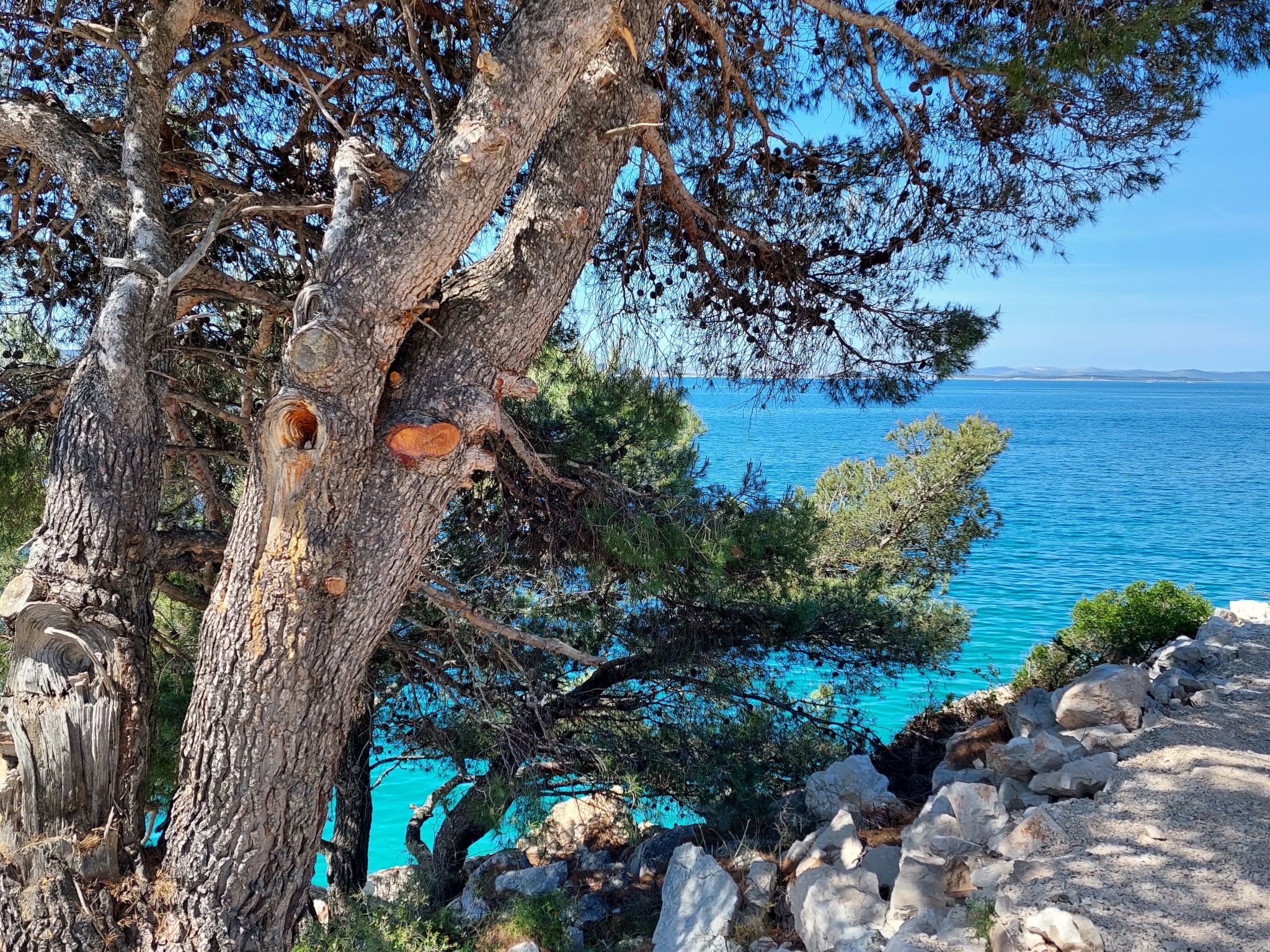 Ferienwohnungen Stipe 1-Image-tags.info