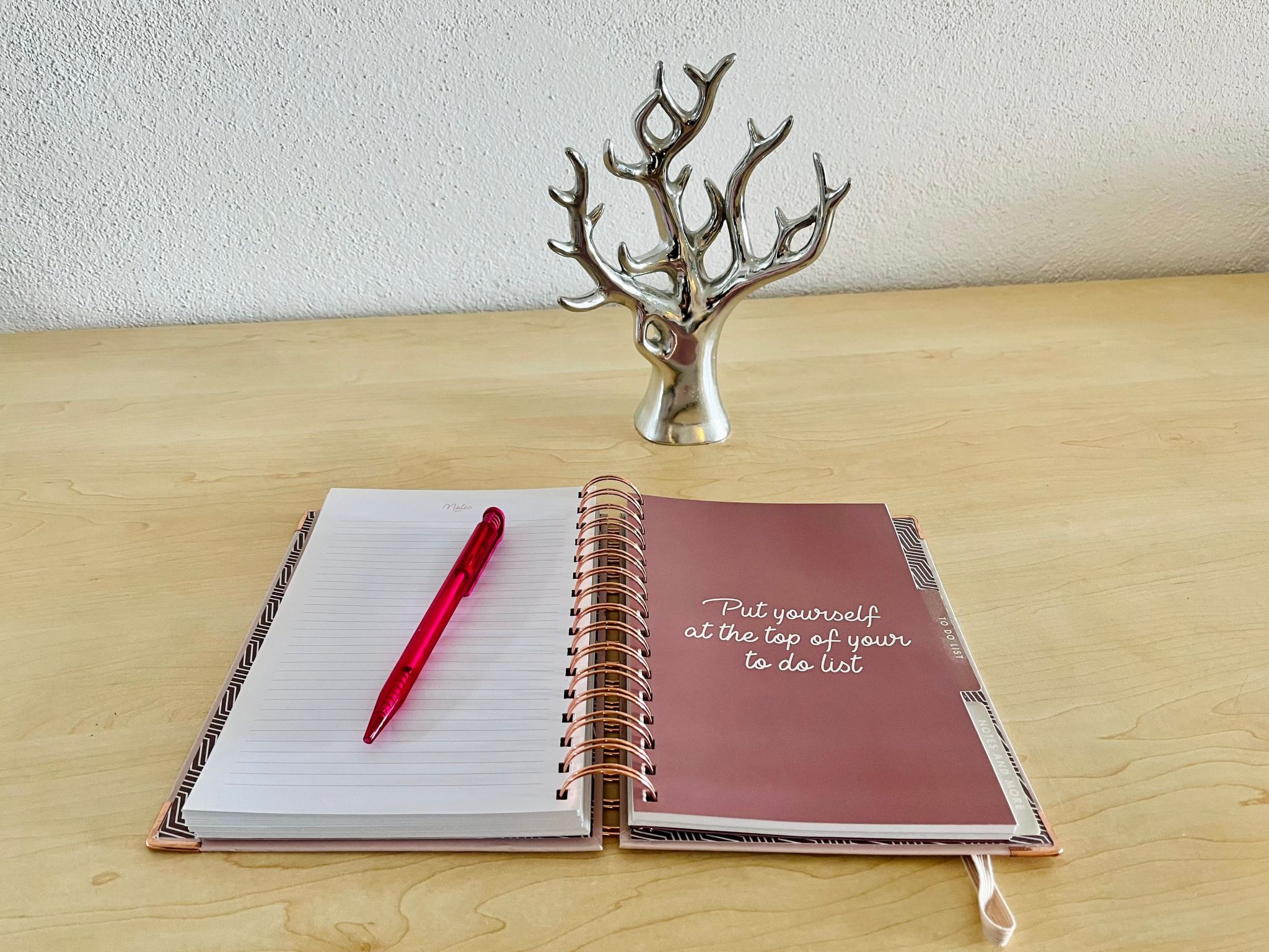 Stela in Karin Gornji-Inside