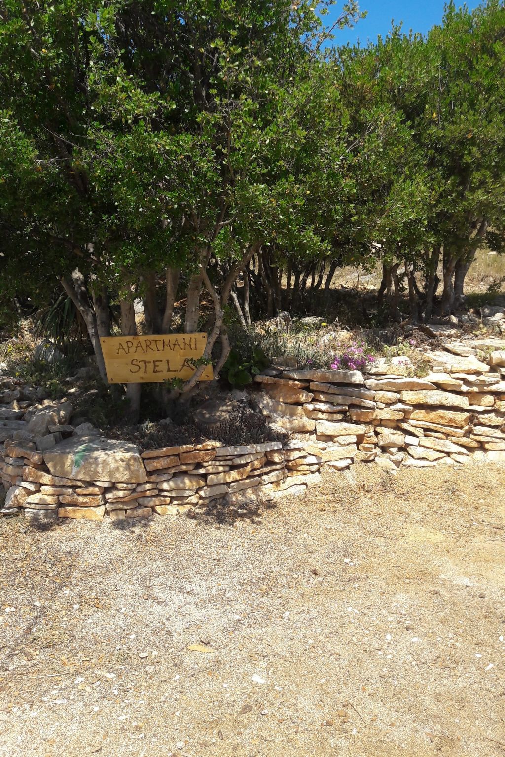 Stela in Karin Gornji-Inside