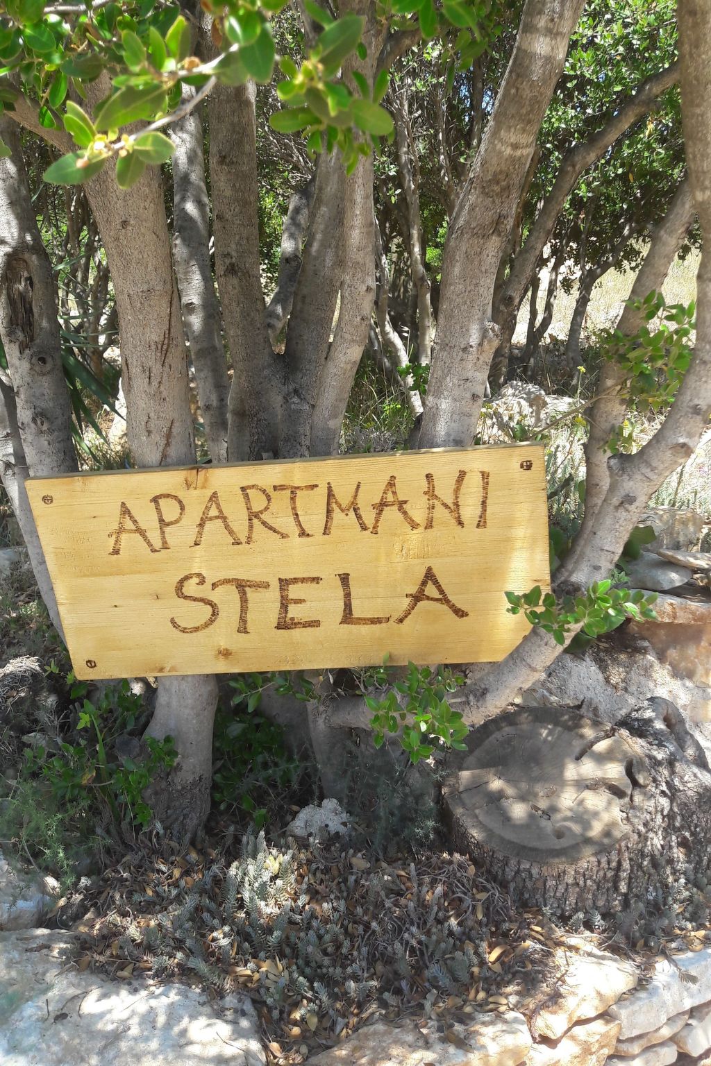 Stela in Karin Gornji-Inside
