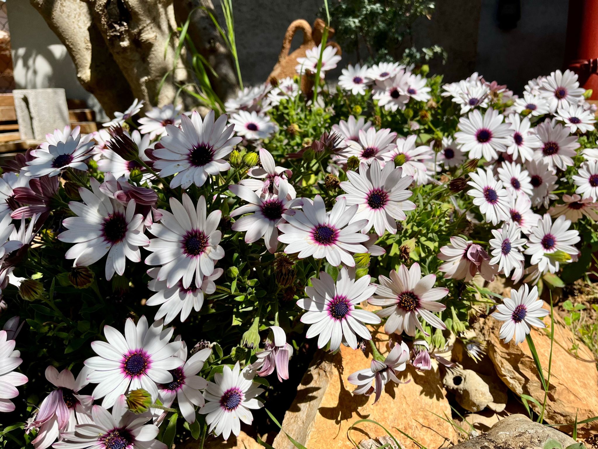 Neu erbautes Apartment mit großem Balkon-Inside
