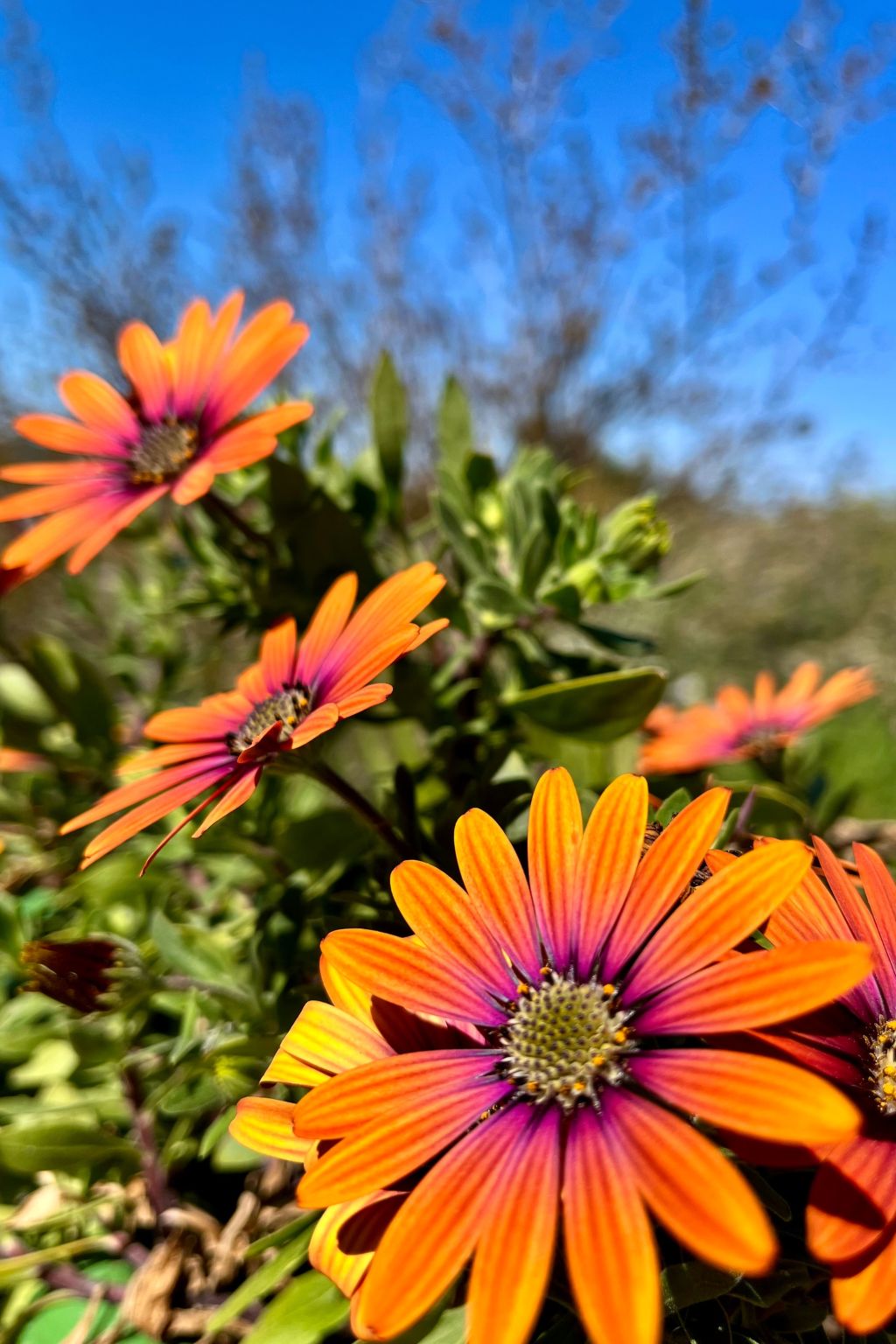 Neu erbautes Apartment mit großem Balkon-Inside