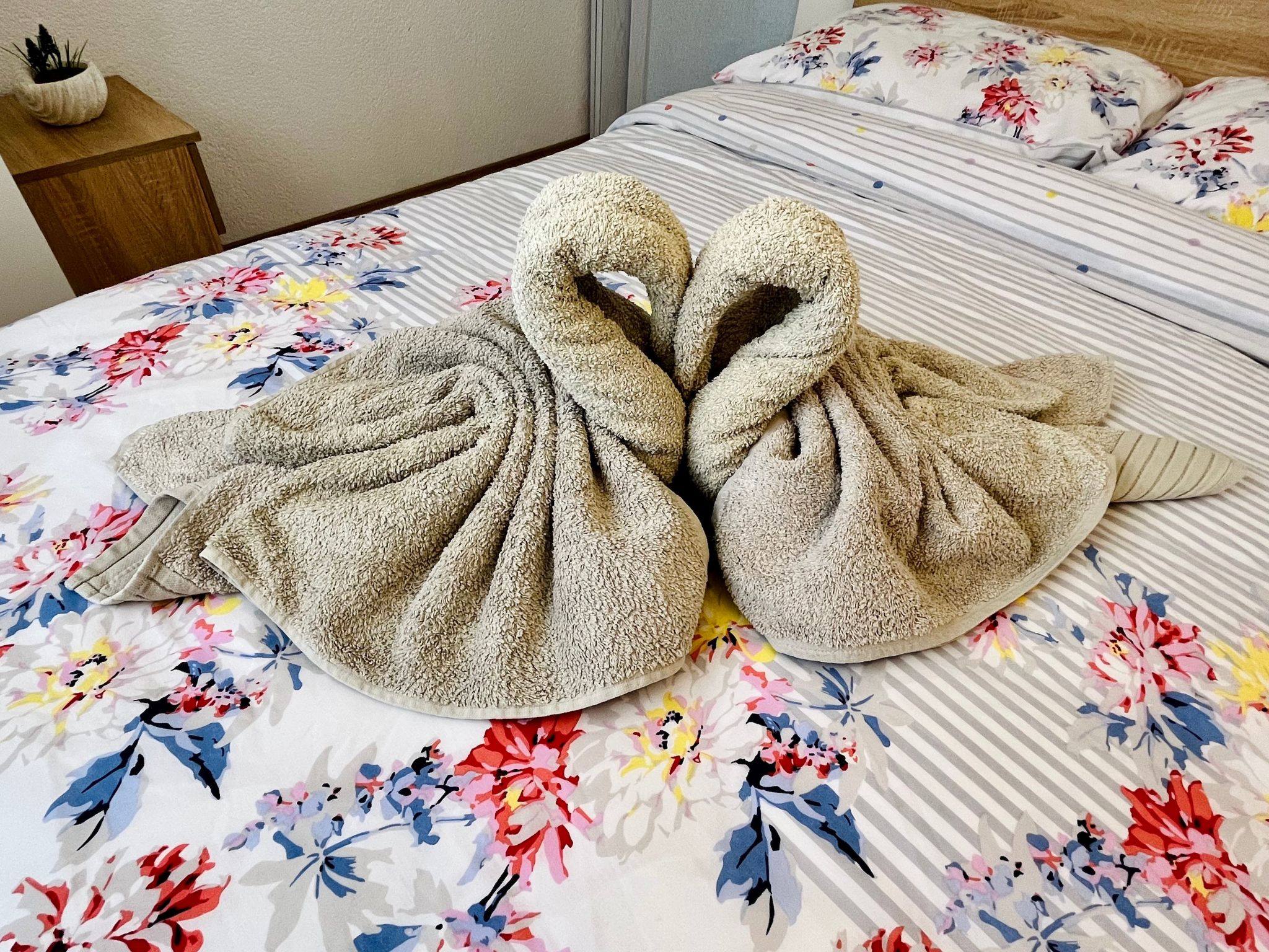 Neugebaute Wohnung im Erdgeschoss-Inside