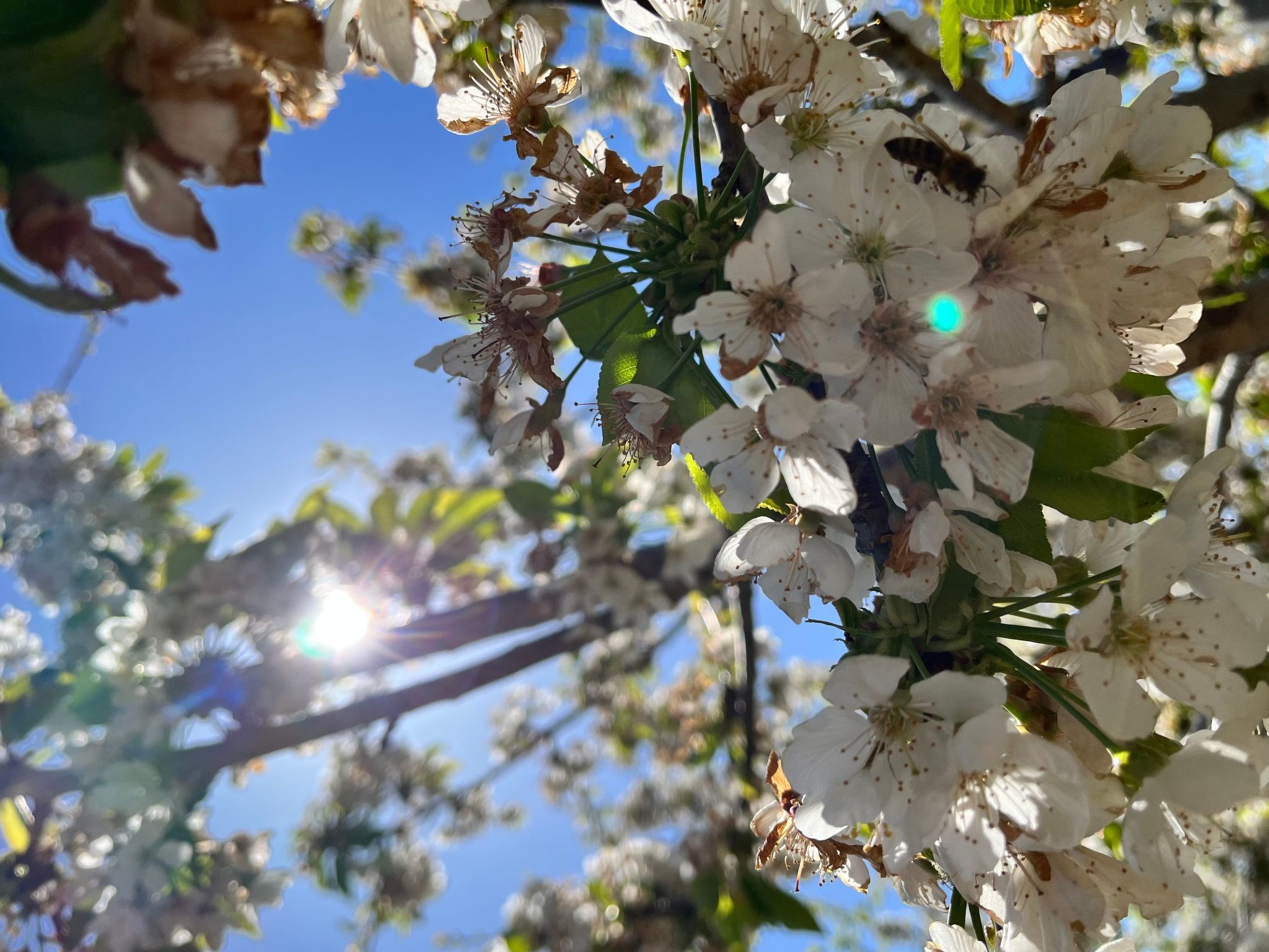 Neugebaute Wohnung im Erdgeschoss-Inside