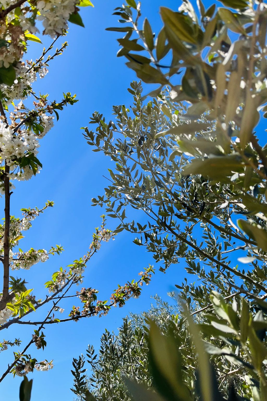 Neugebaute Wohnung im Erdgeschoss-Inside