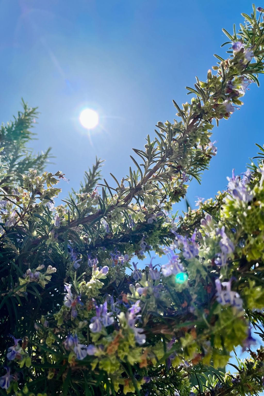 Neugebaute Wohnung im Erdgeschoss