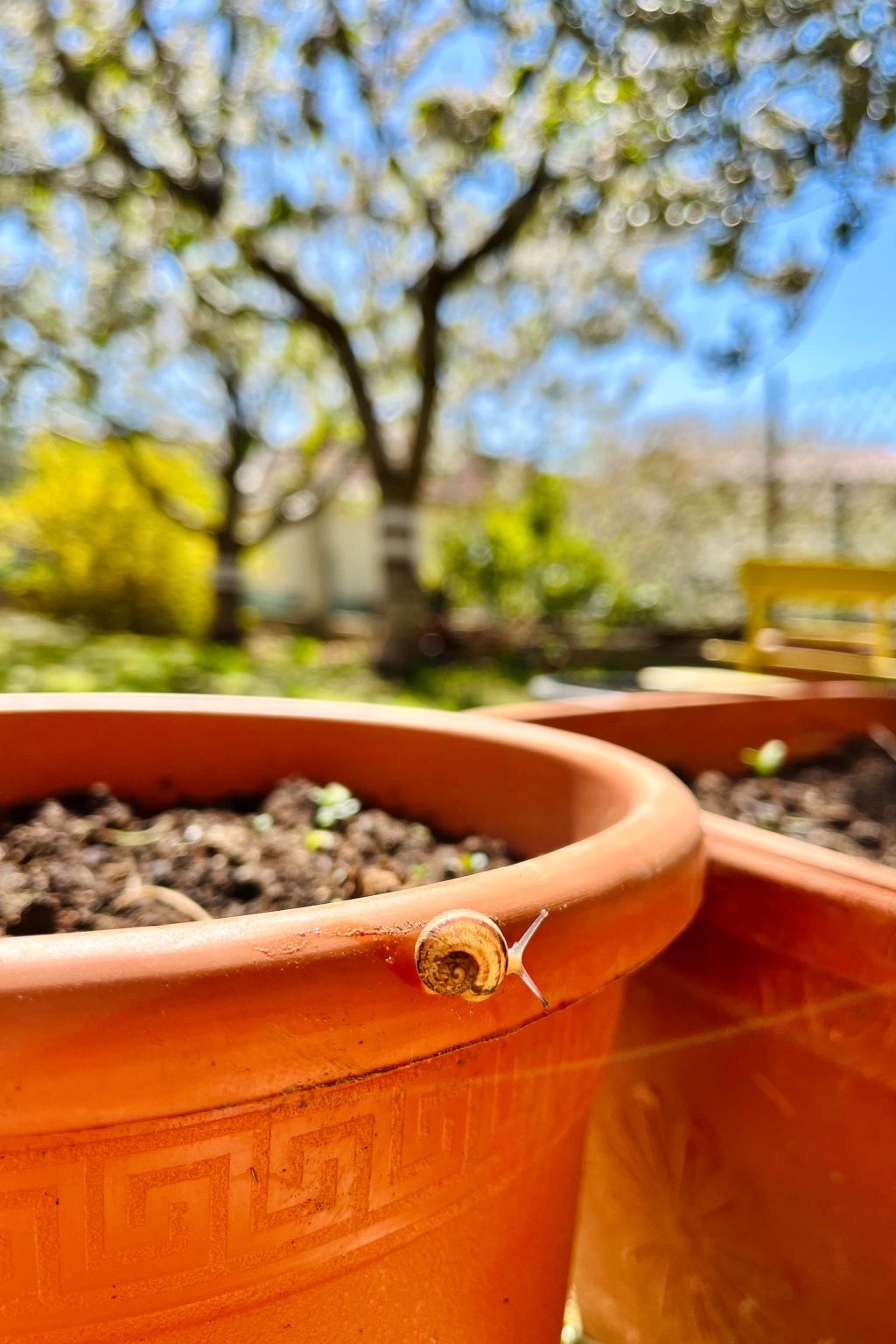Neugebaute Wohnung im Erdgeschoss