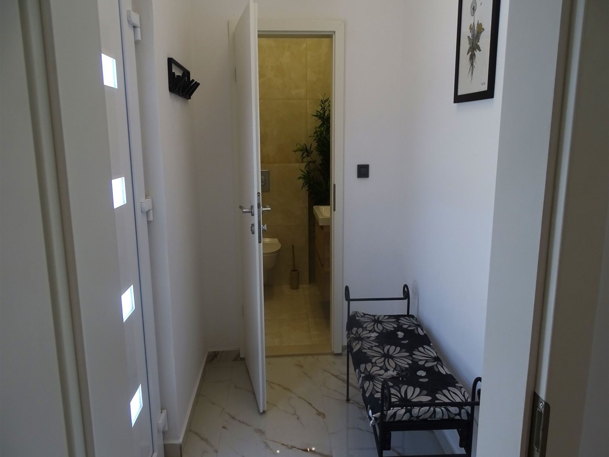 Parancin-Image-tags.info