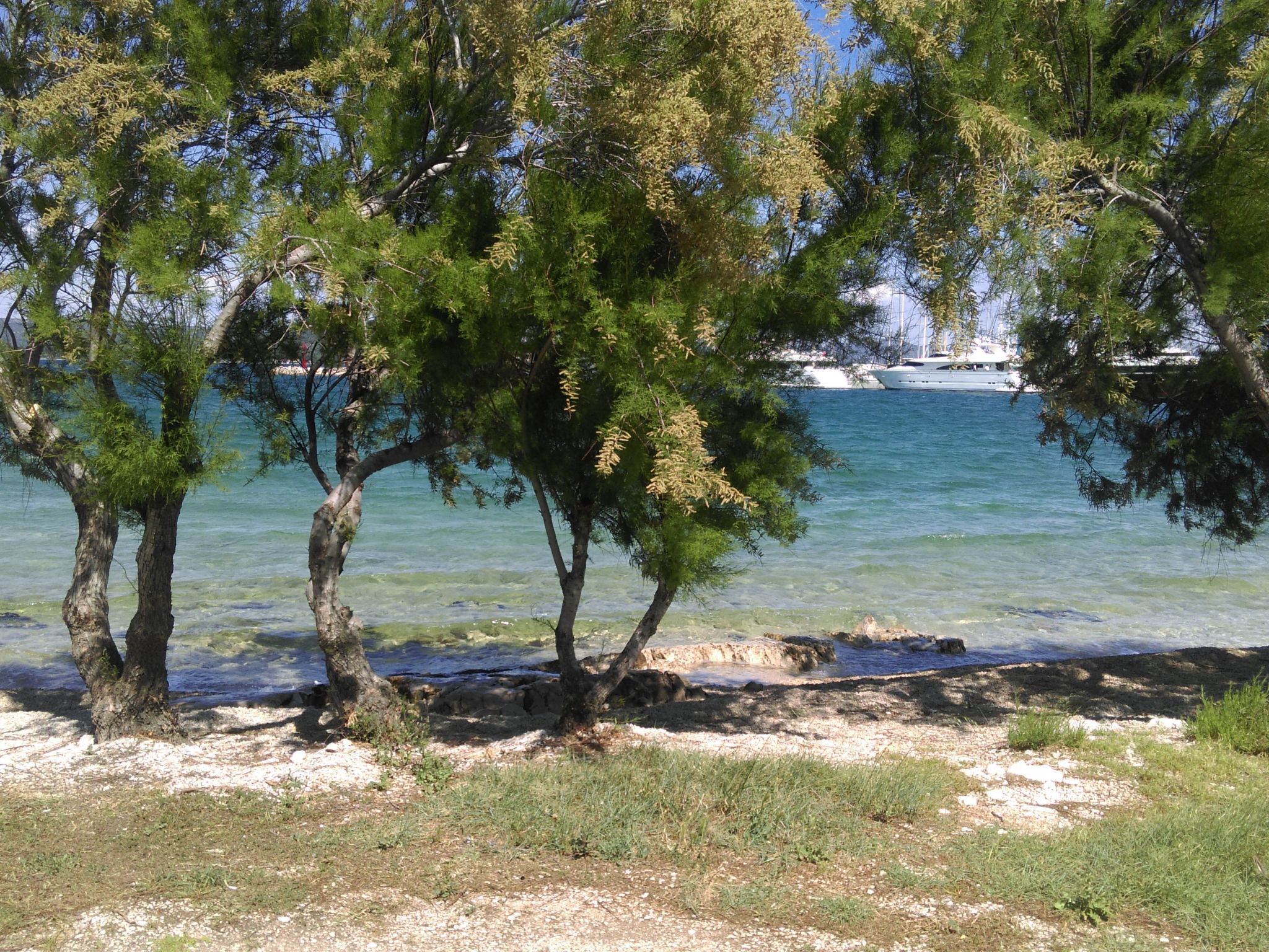 Mit Strandzugang-Image-tags.info