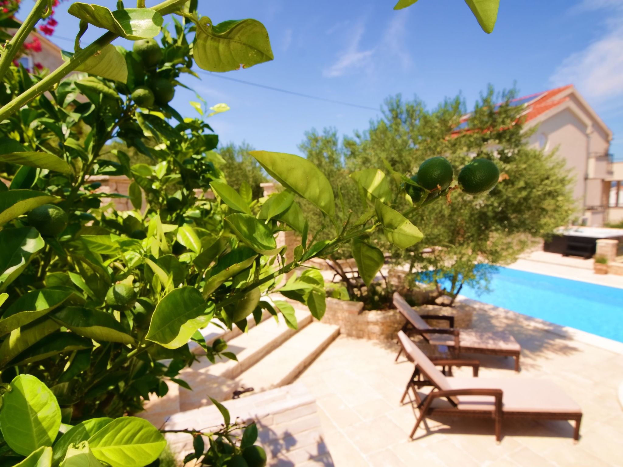 Ferienvilla "Kos Murter"-Image-tags.info